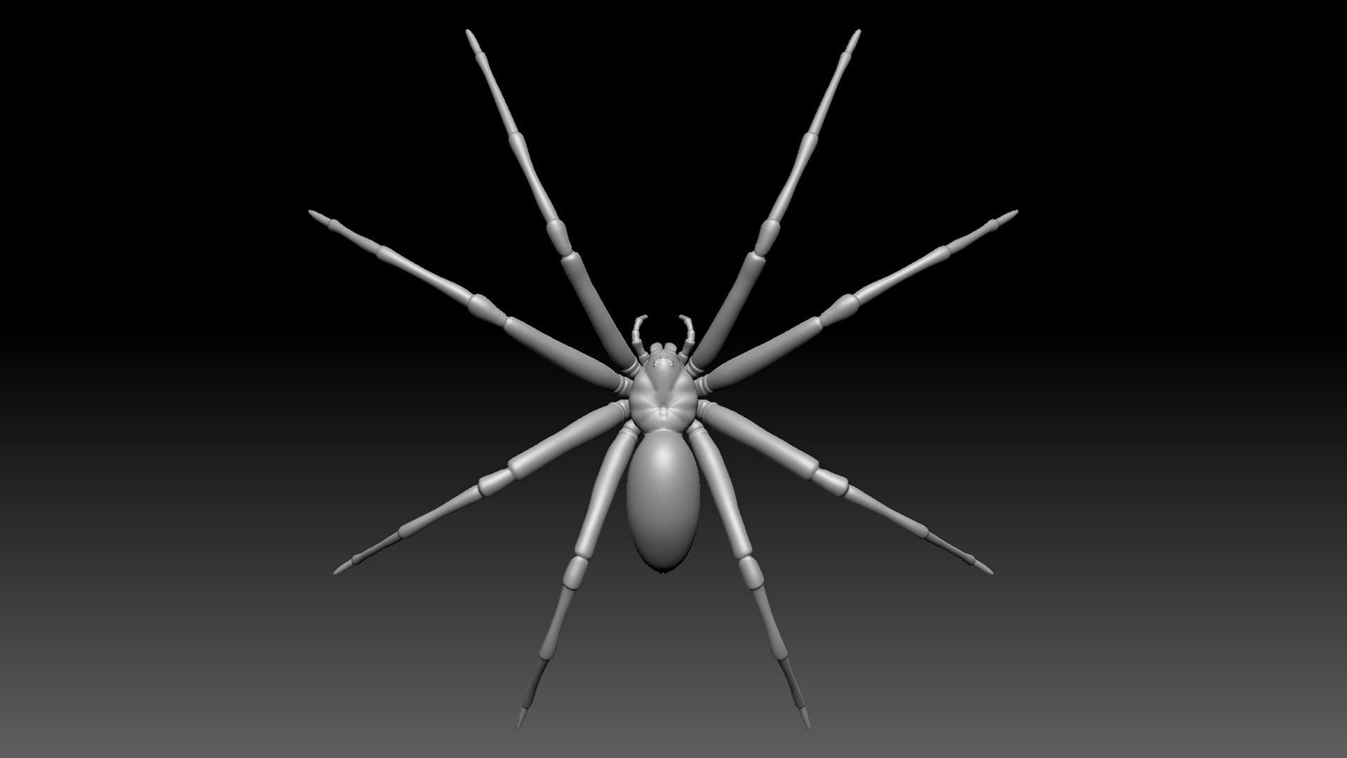 Spider Pack 3D model_136