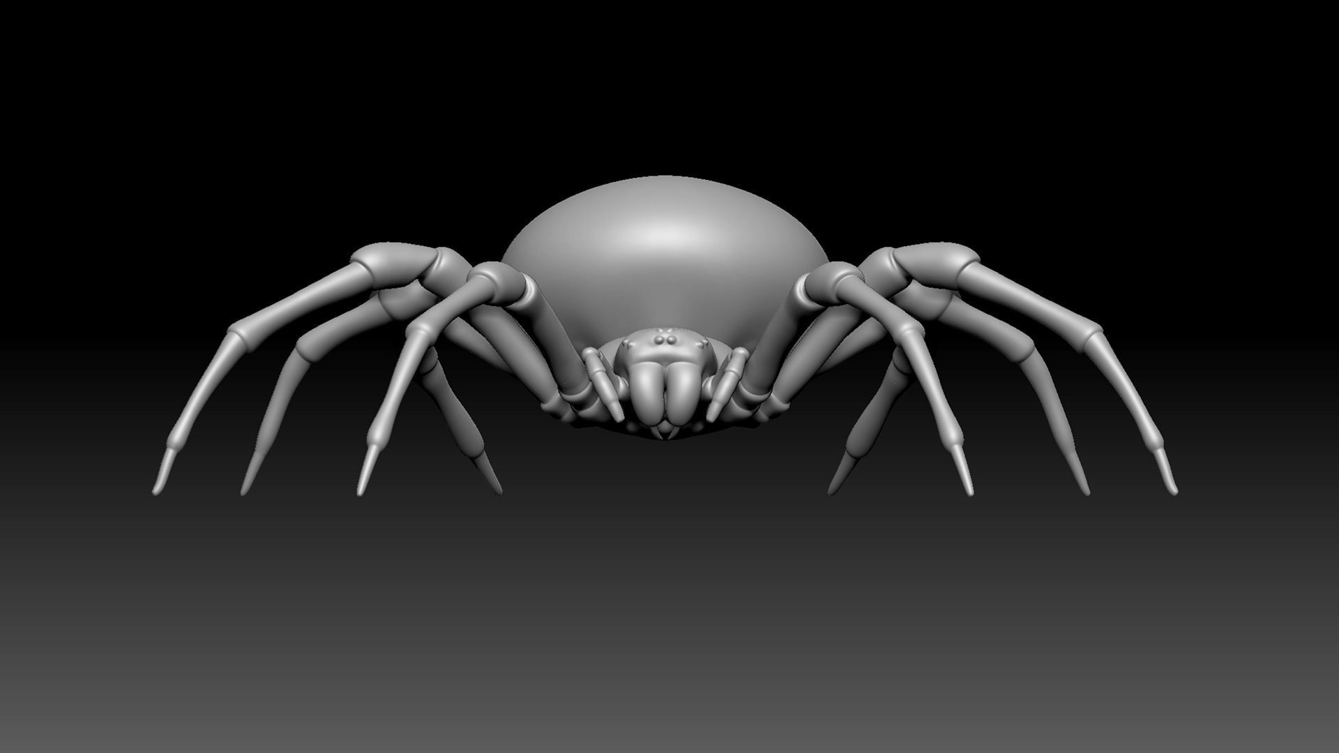 Spider Pack 3D model_89