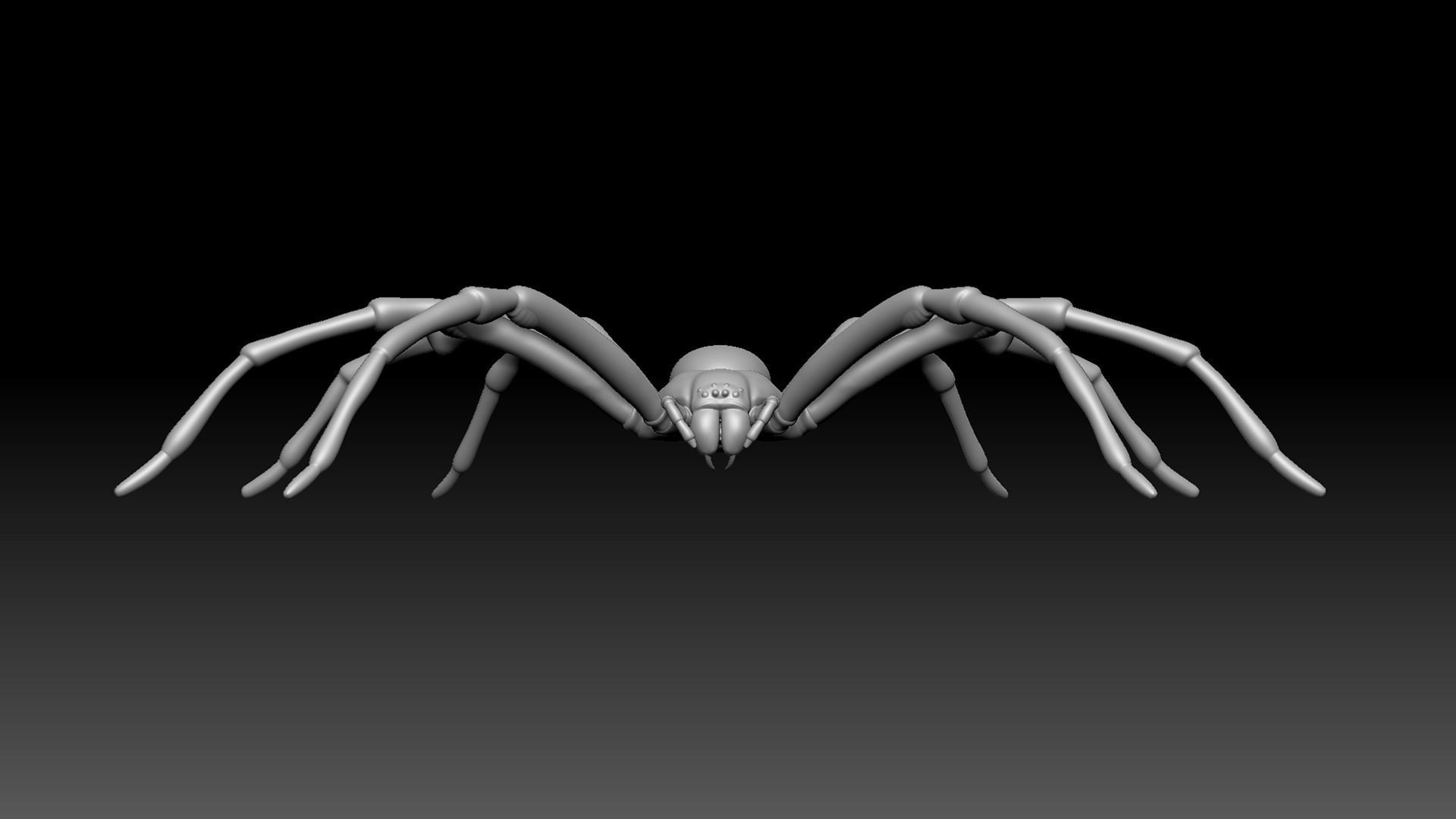 Spider Pack 3D model_22