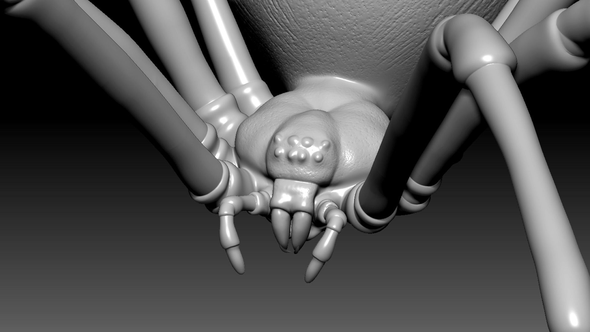 Spider Pack 3D model_8