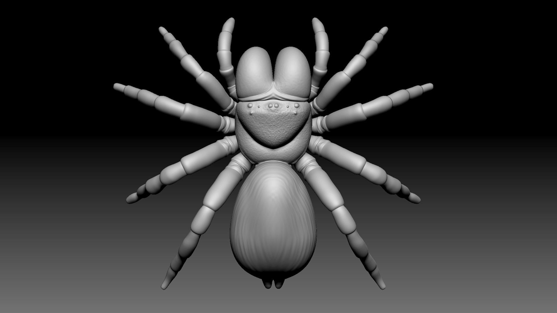 Spider Pack 3D model_60