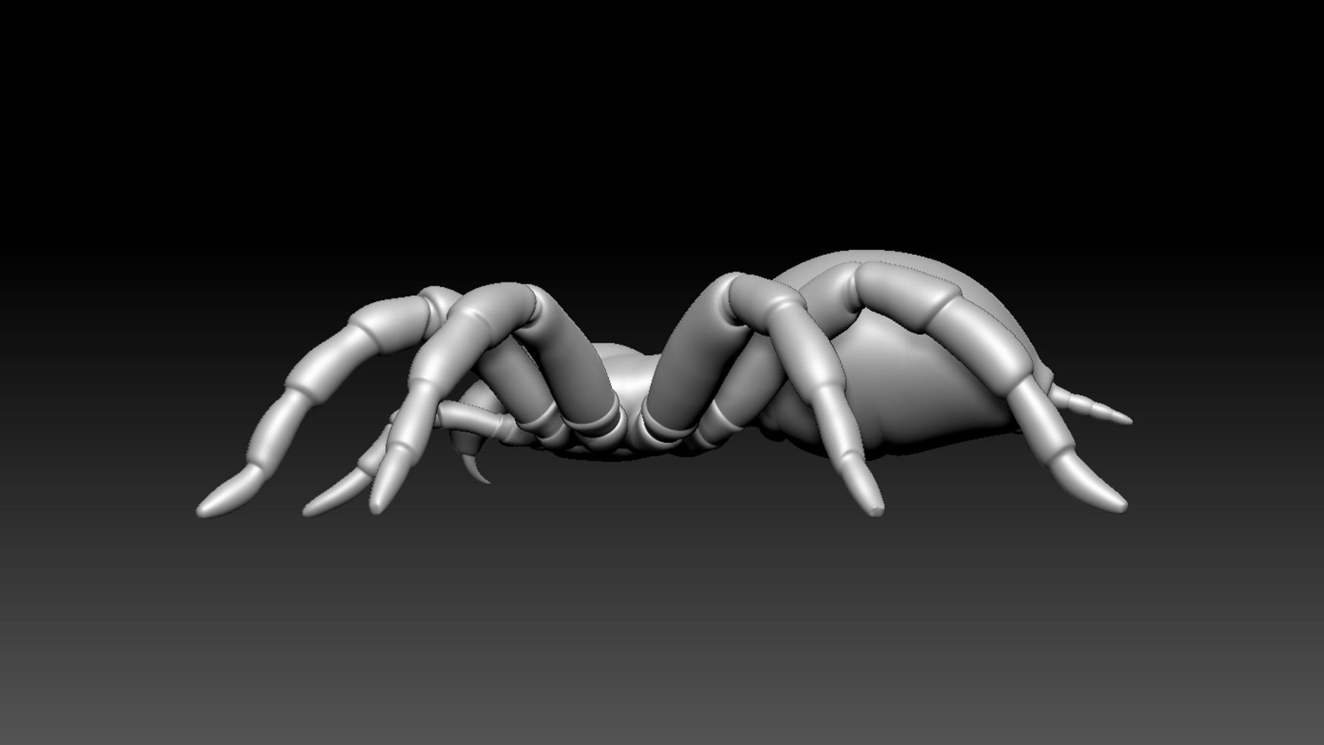 Spider Pack 3D model_50