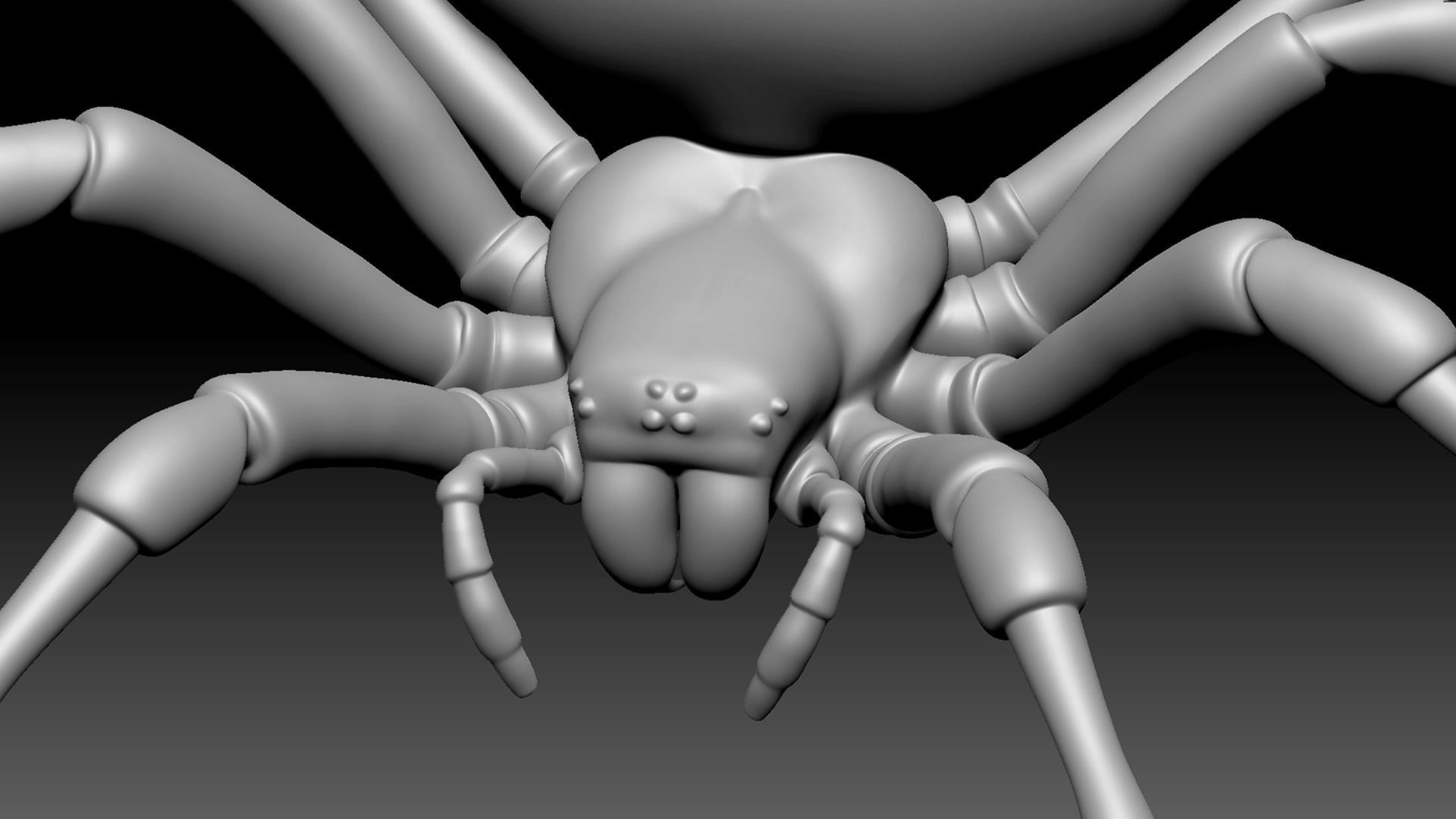 Spider Pack 3D model_84