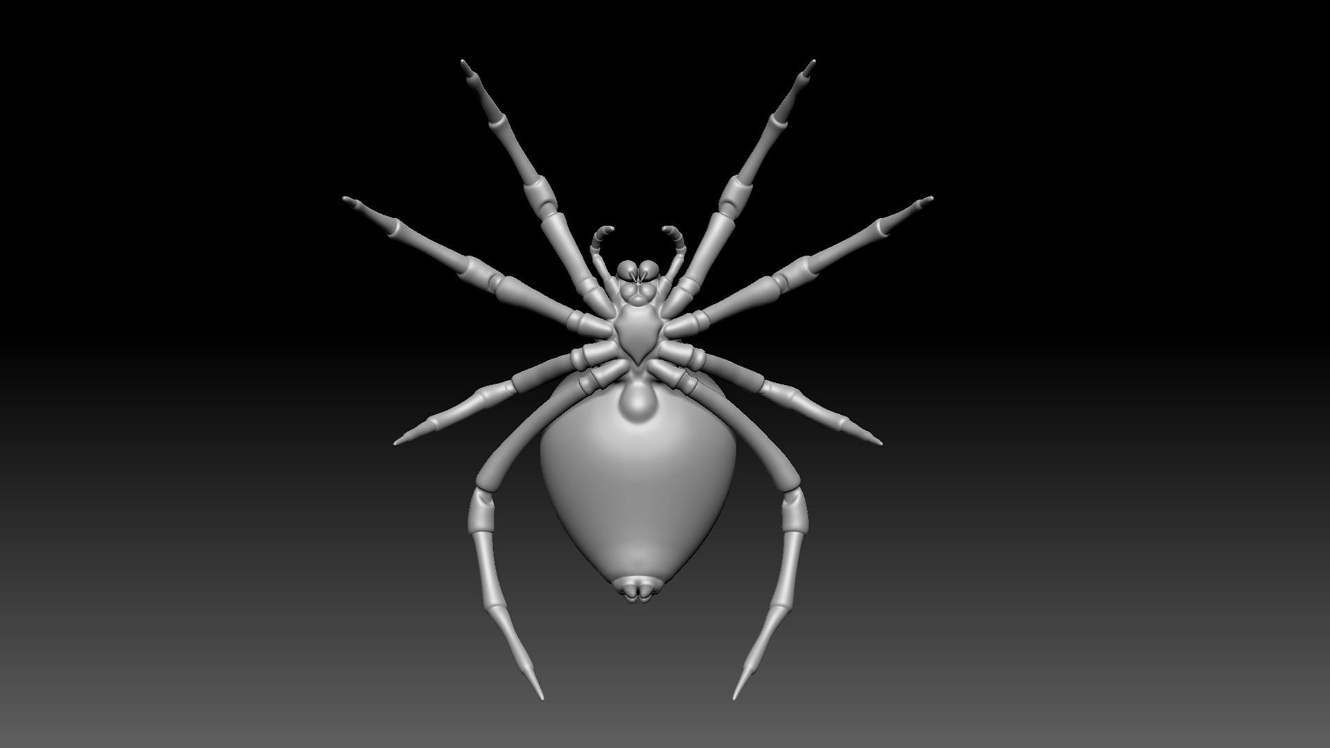 Spider Pack 3D model_87