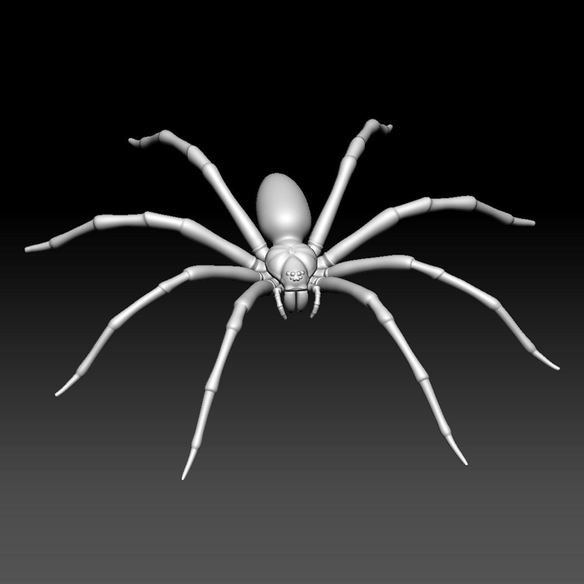 Spider Pack 3D model_97