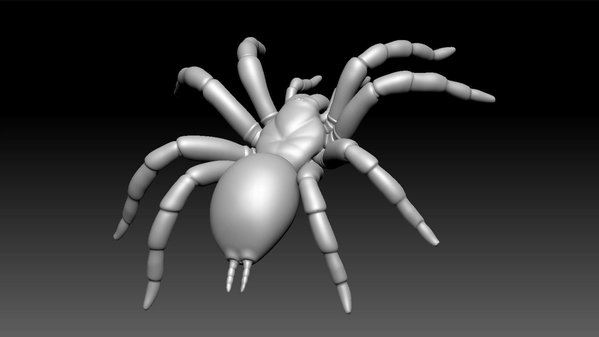 Spider Pack 3D model_48