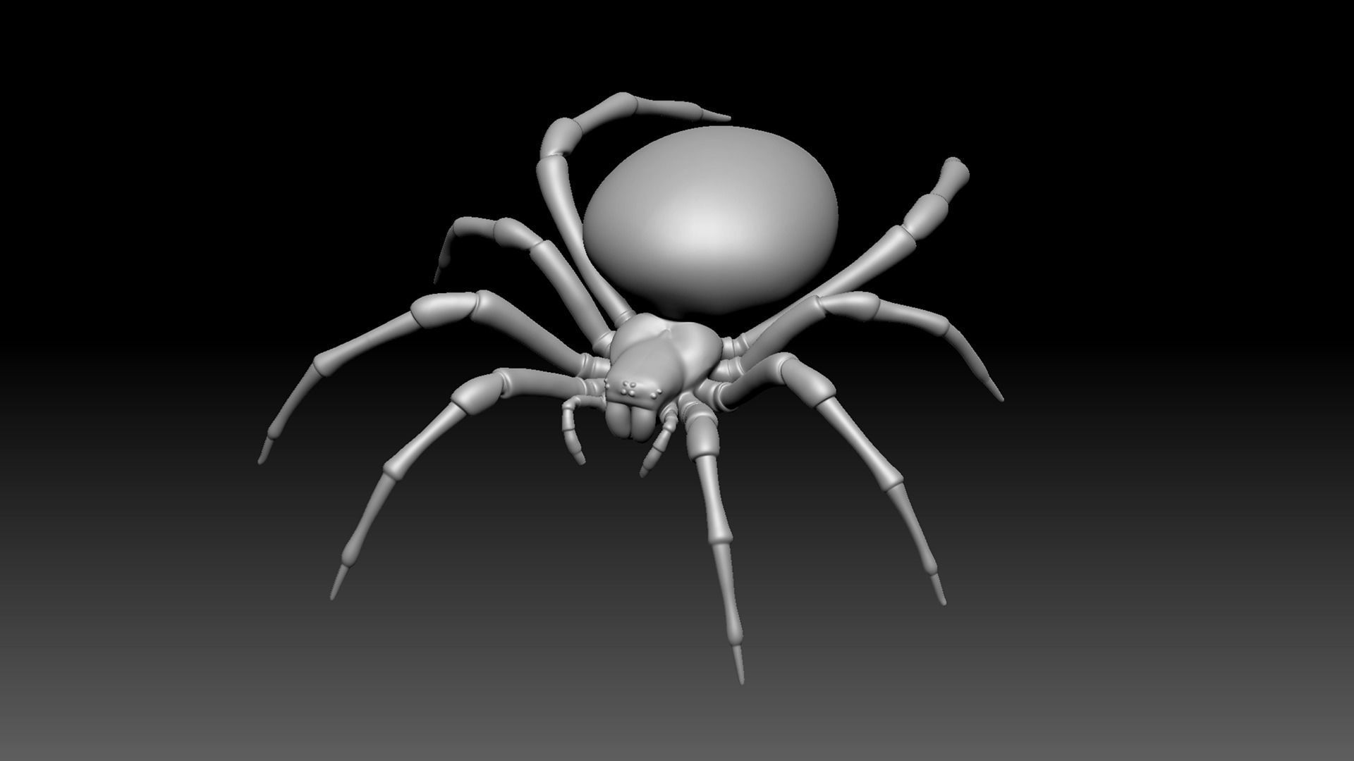 Spider Pack 3D model_90