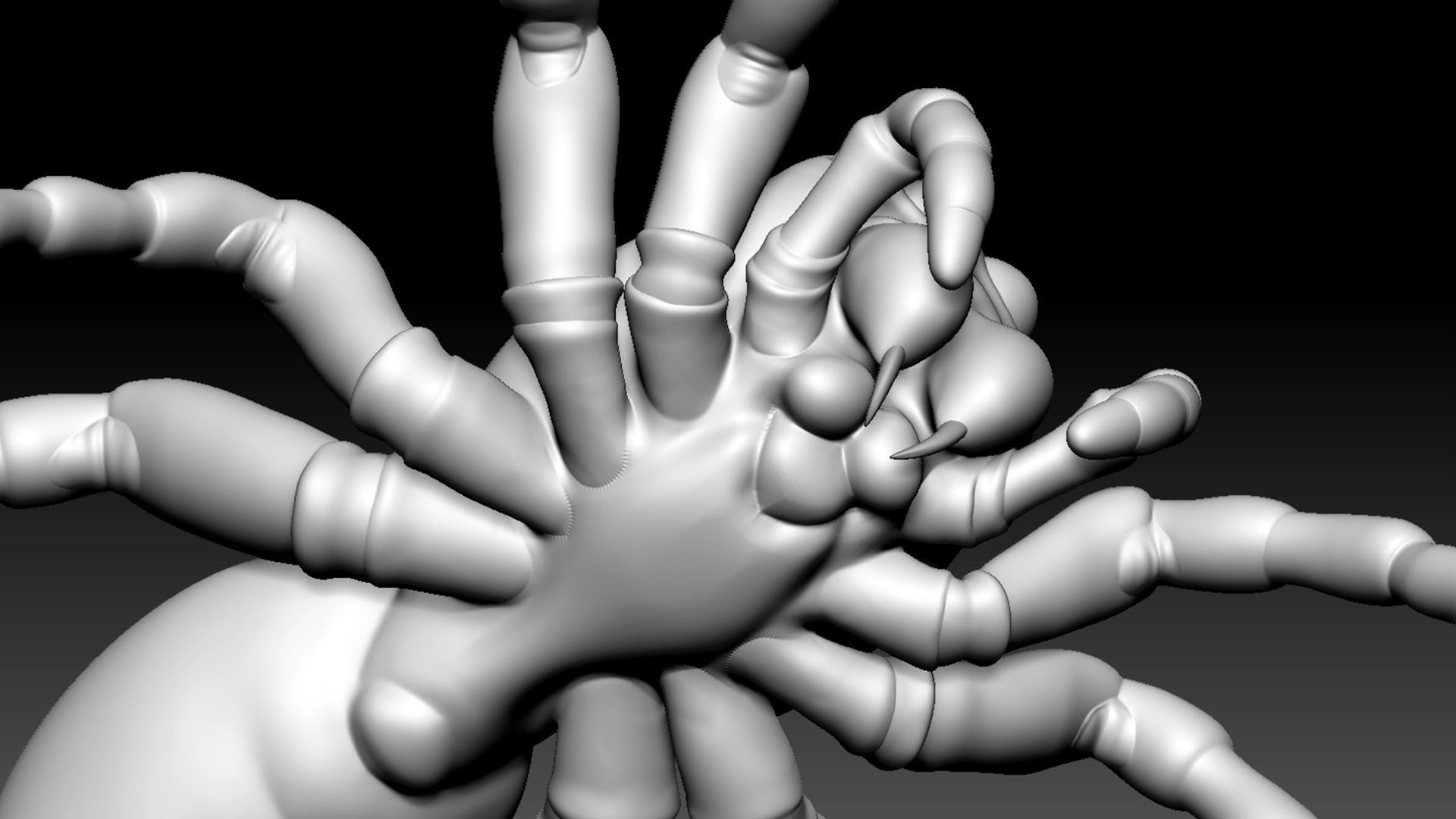 Spider Pack 3D model_79