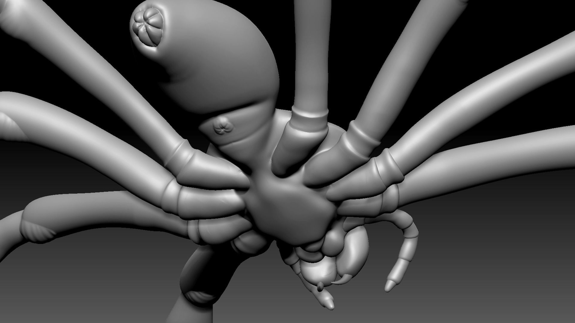 Spider Pack 3D model_23