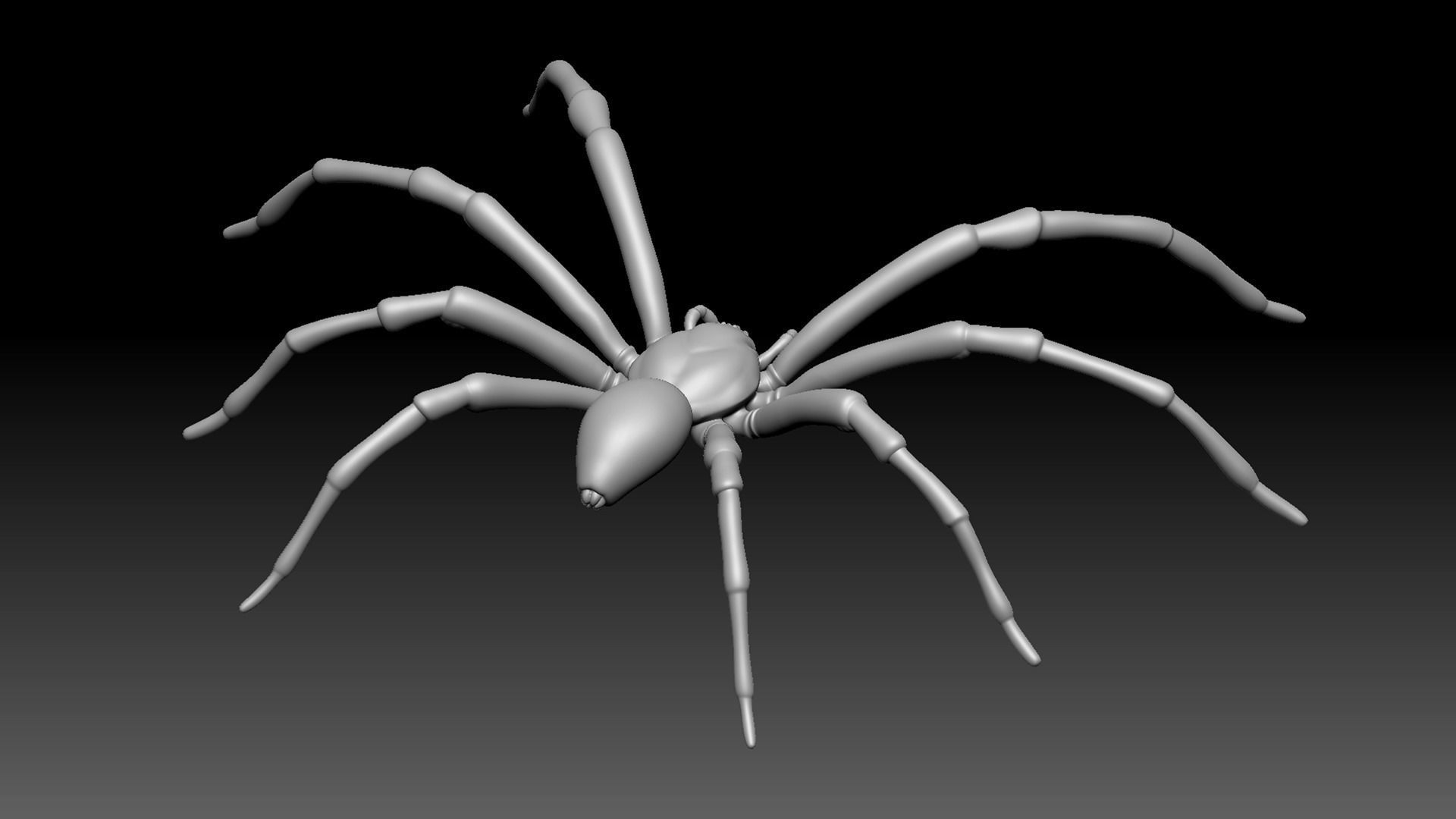 Spider Pack 3D model_16