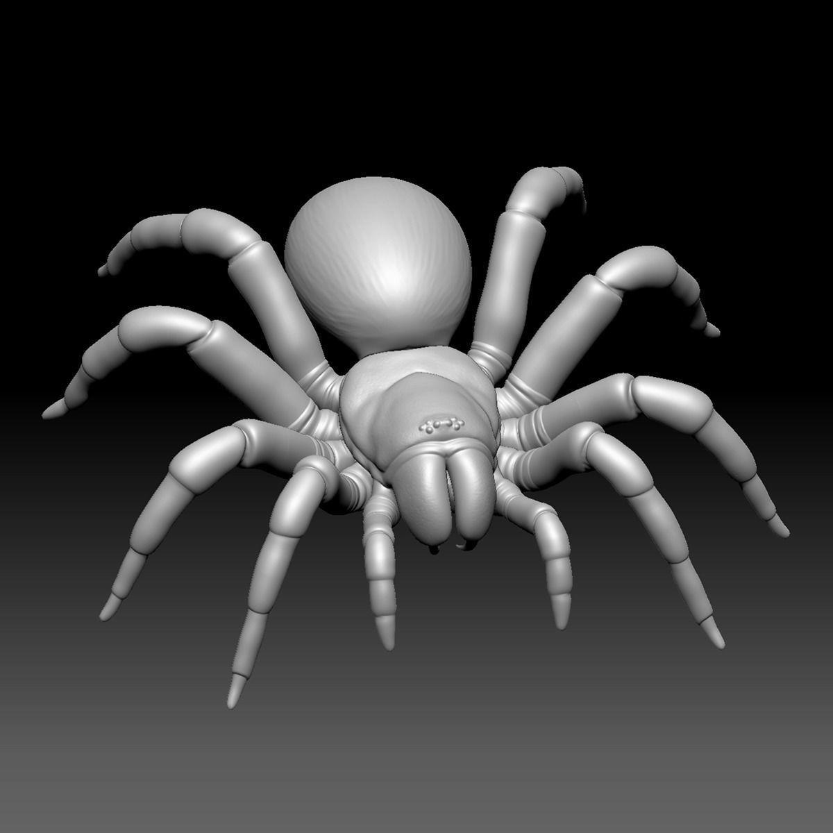 Spider Pack 3D model_30