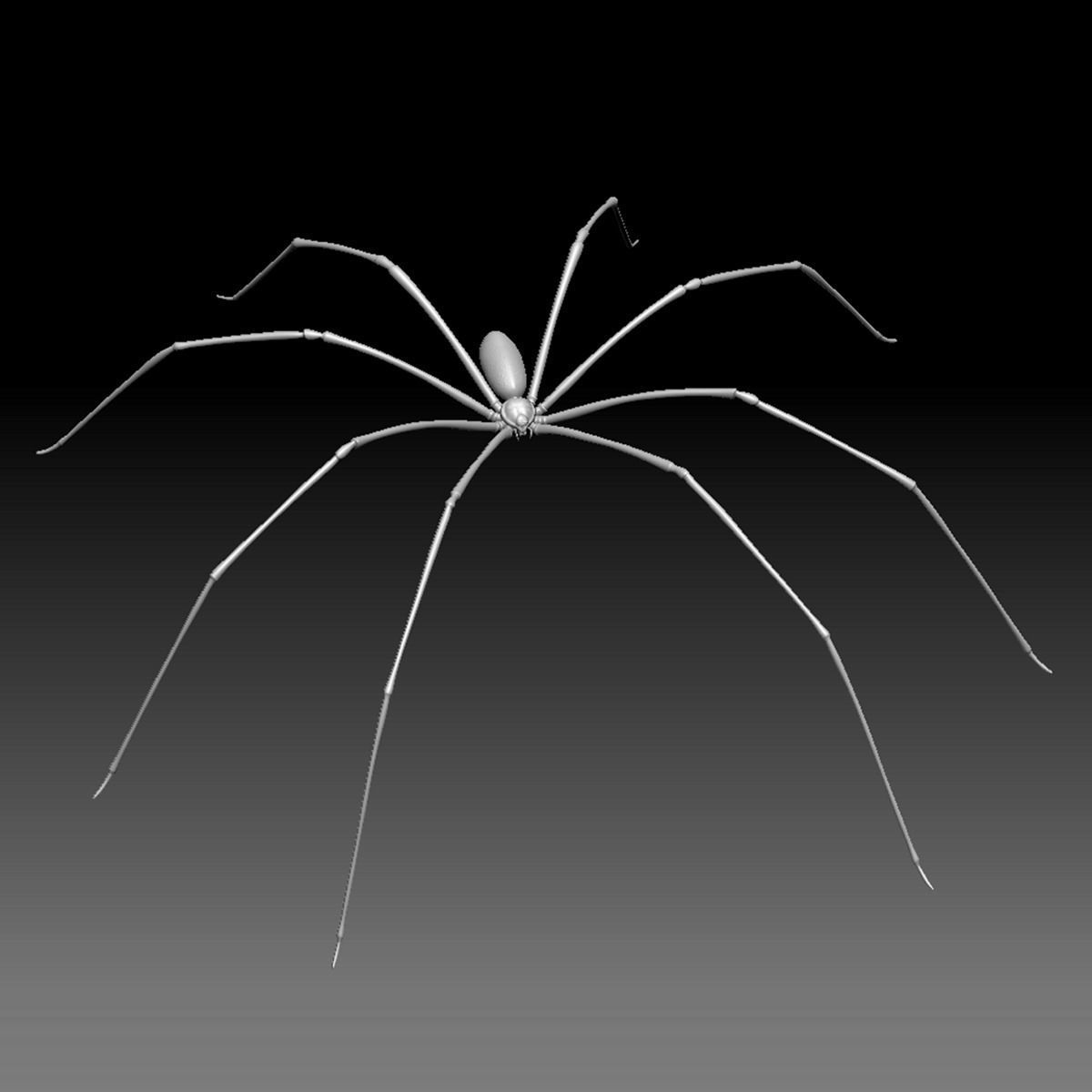 Spider Pack 3D model_112