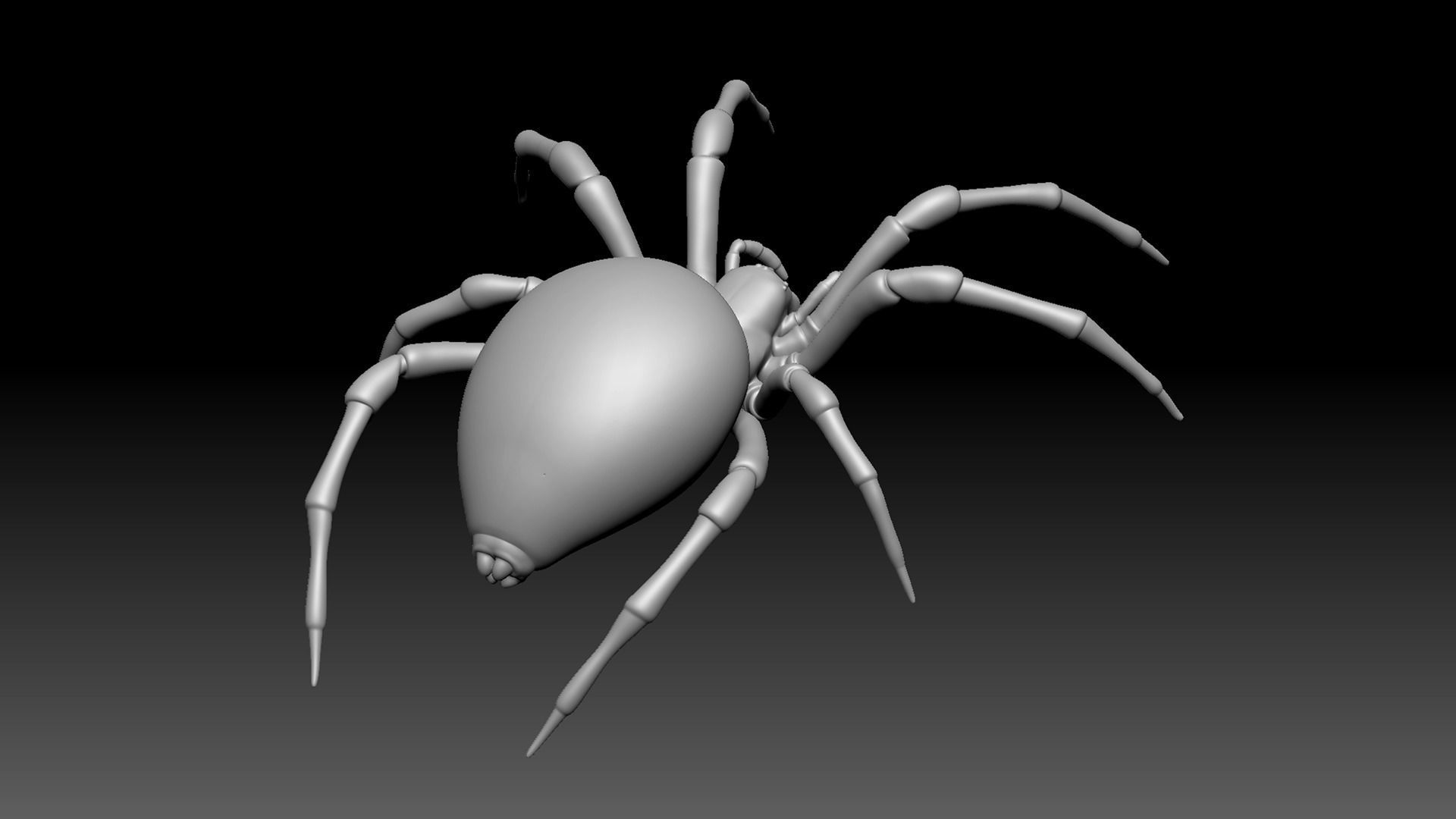 Spider Pack 3D model_88