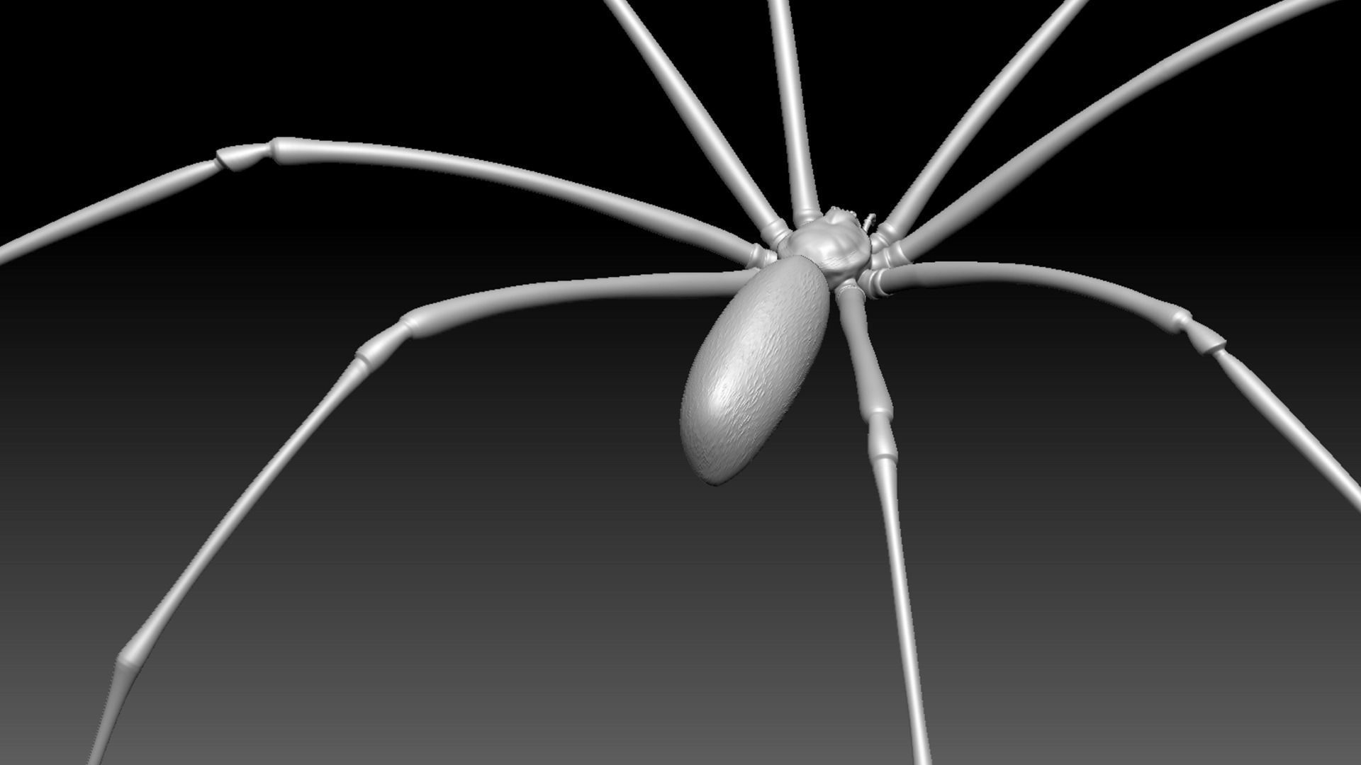 Spider Pack 3D model_120