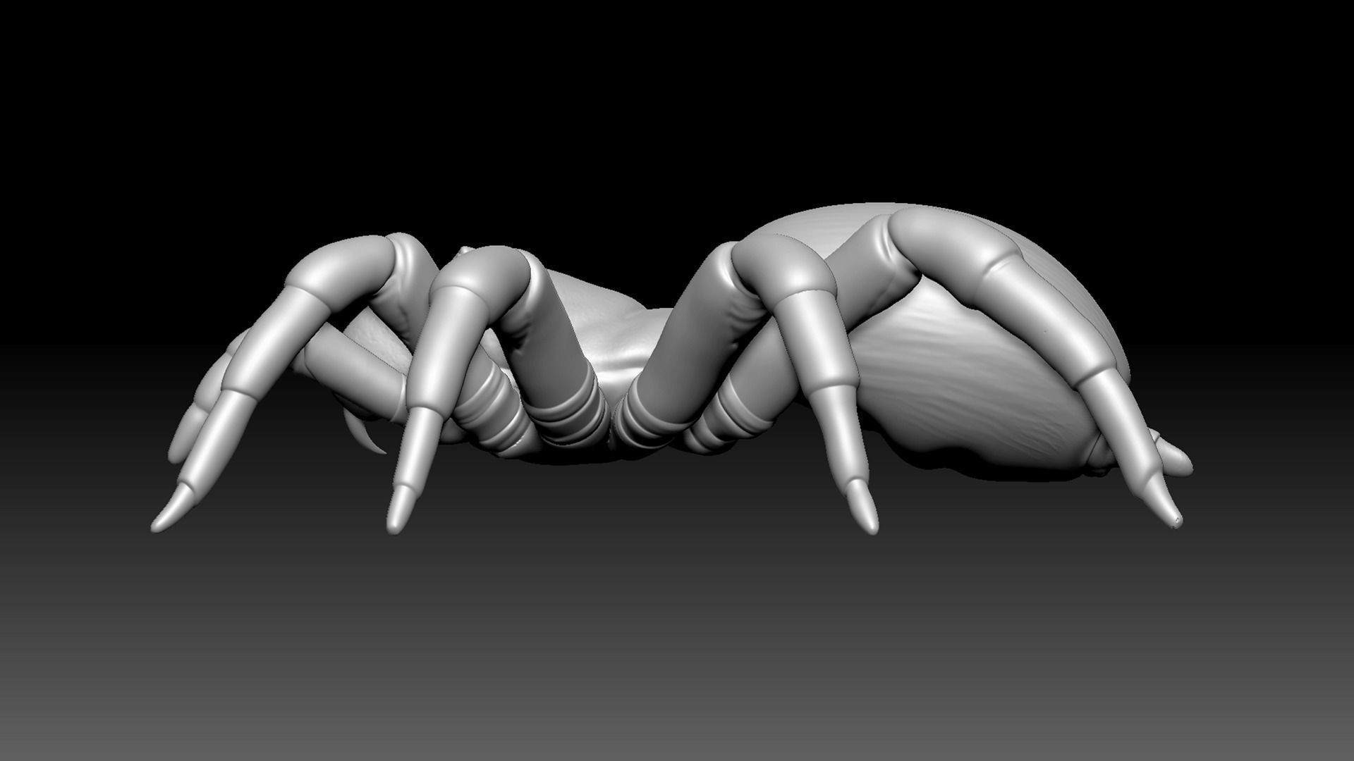 Spider Pack 3D model_37