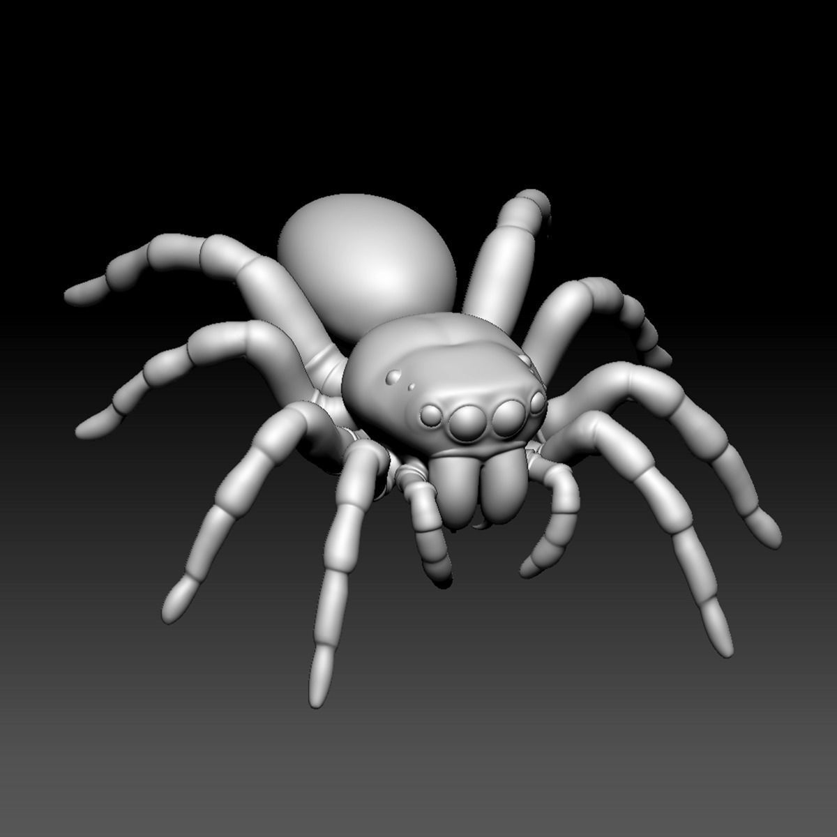 Spider Pack 3D model_70