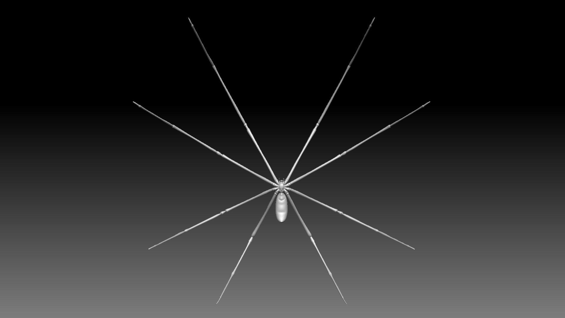 Spider Pack 3D model_118