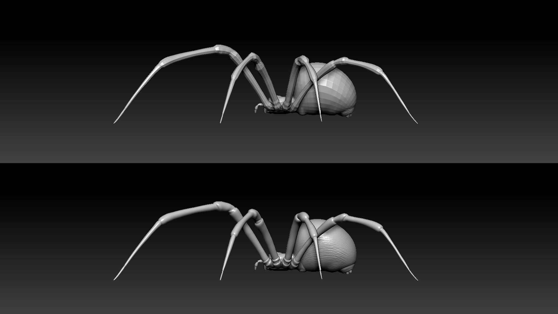 Spider Pack 3D model_5
