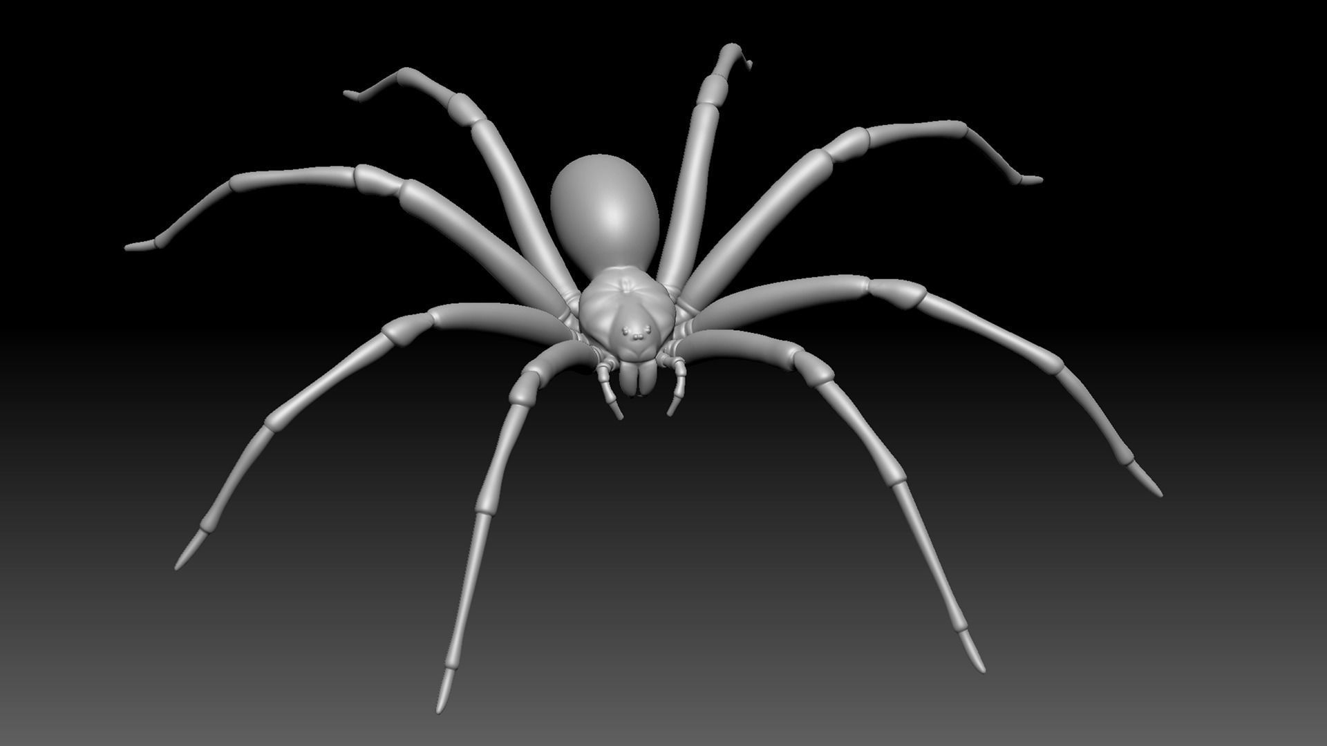 Spider Pack 3D model_127