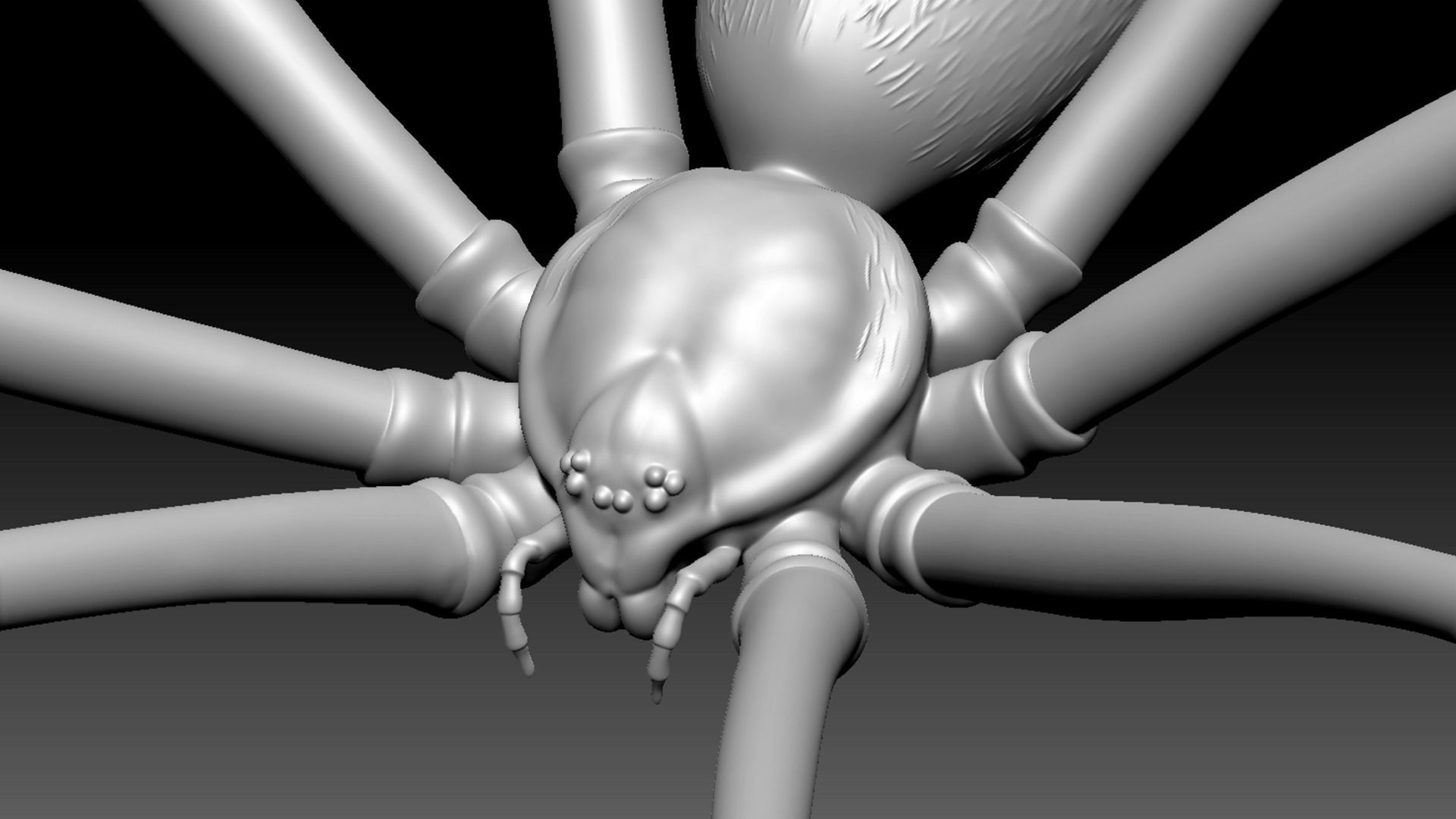 Spider Pack 3D model_122