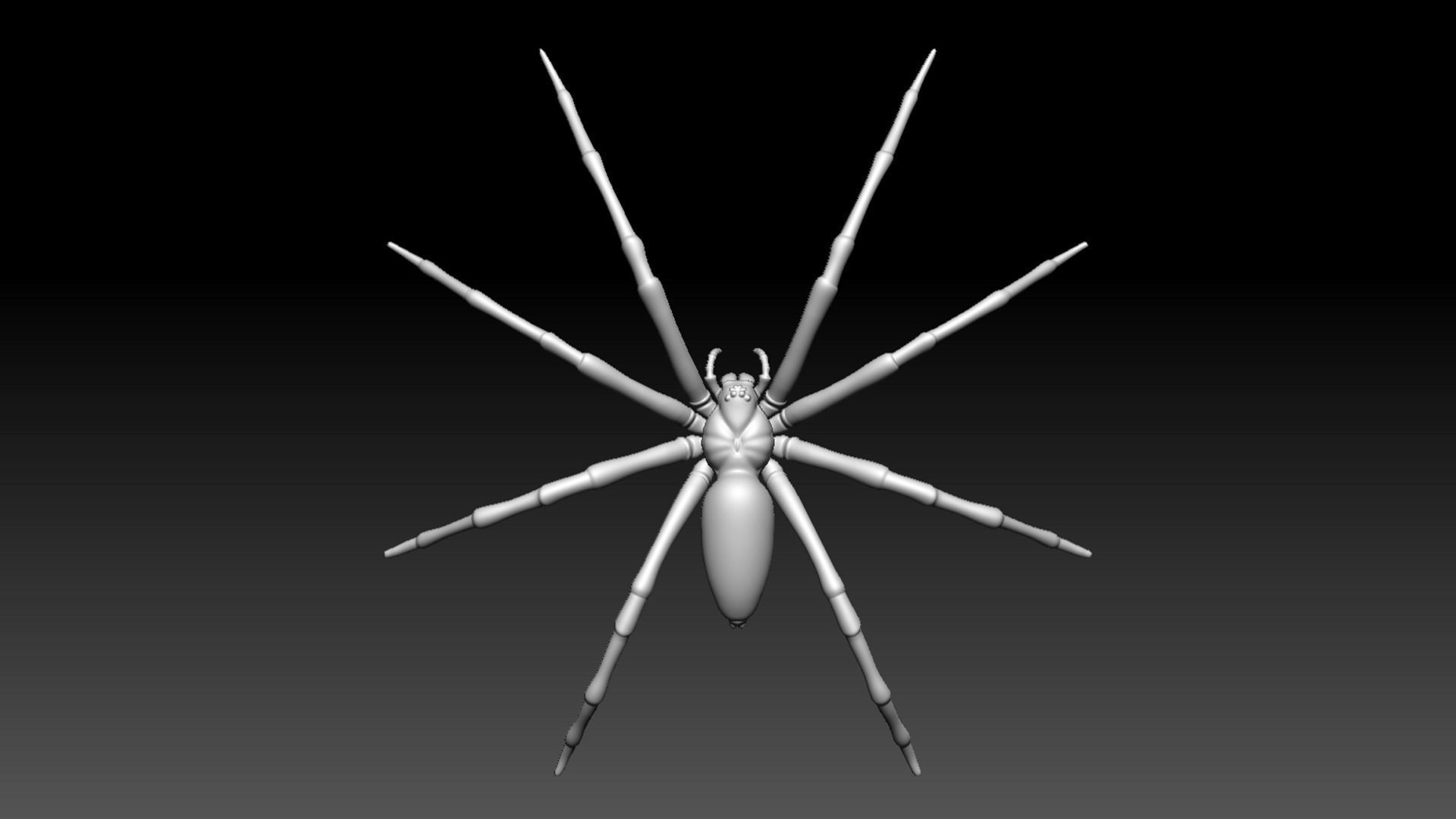 Spider Pack 3D model_107