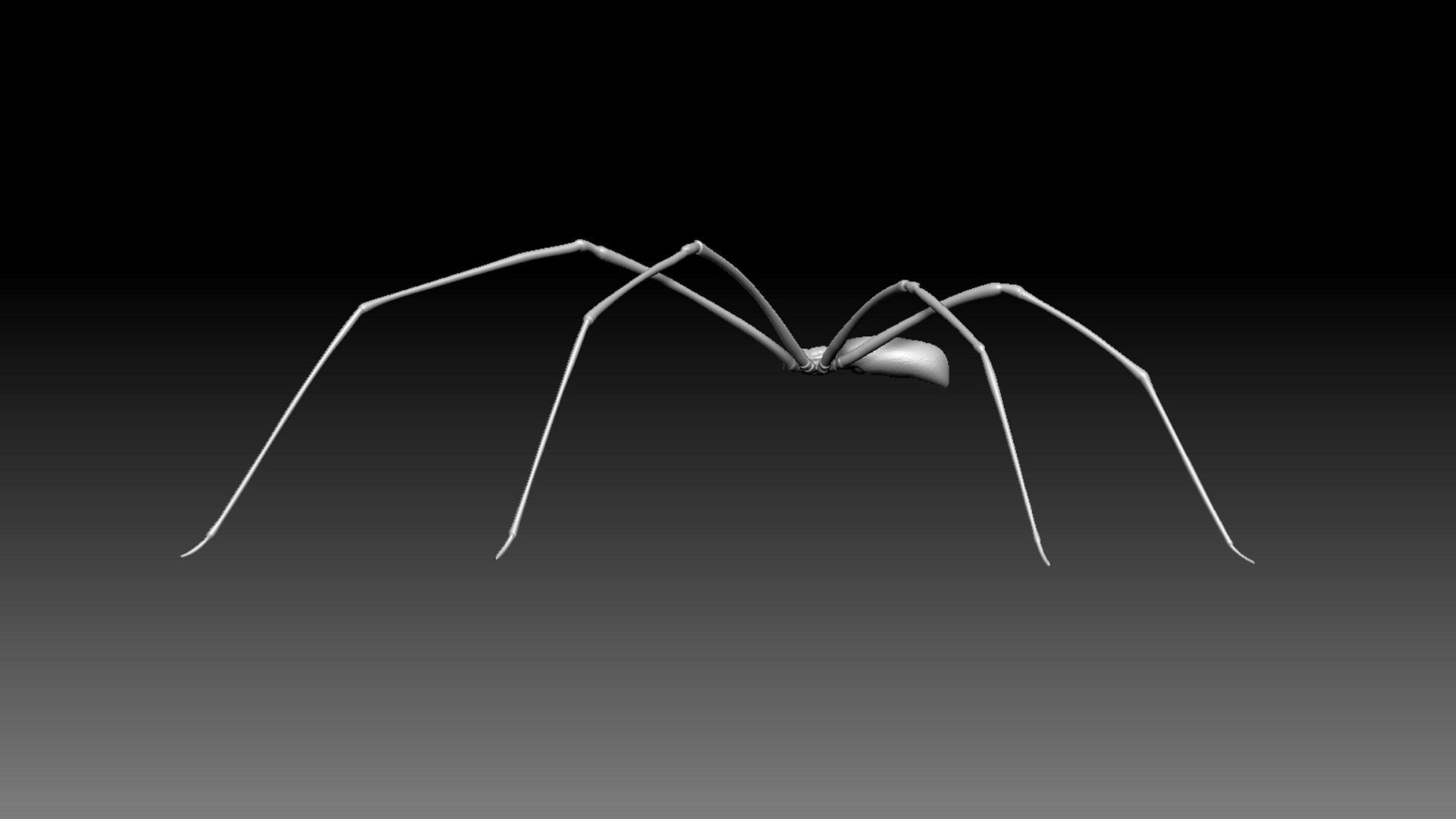 Spider Pack 3D model_117