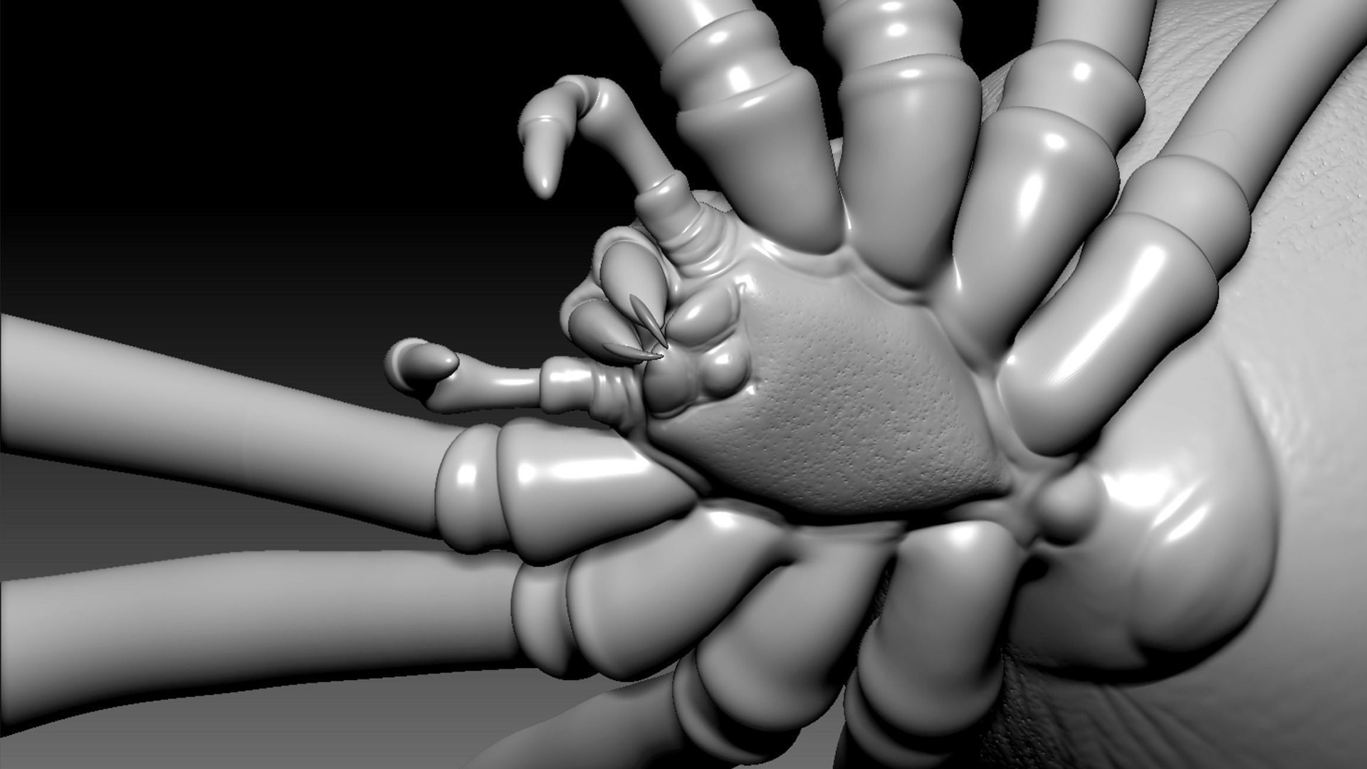 Spider Pack 3D model_12