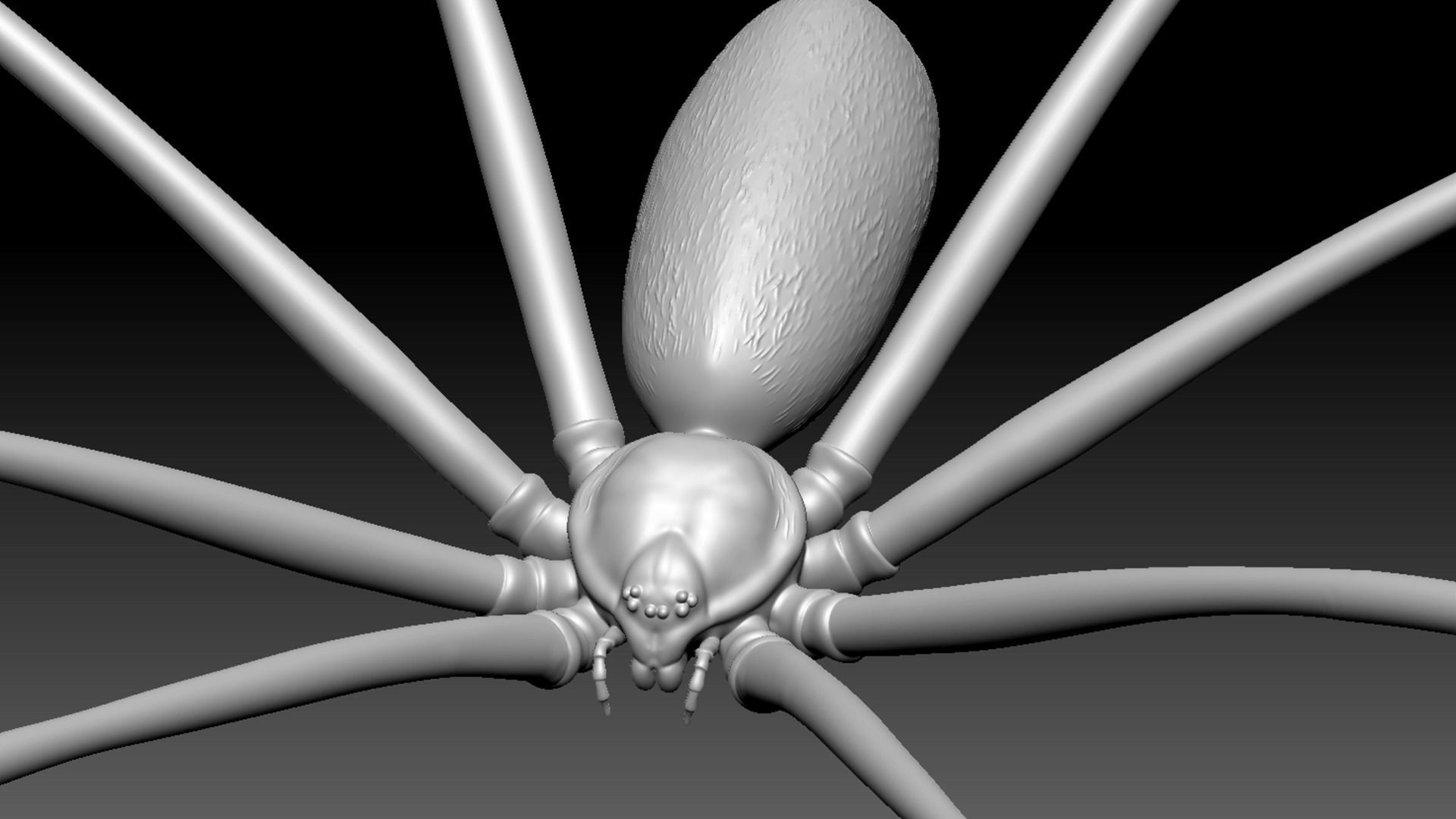 Spider Pack 3D model_121