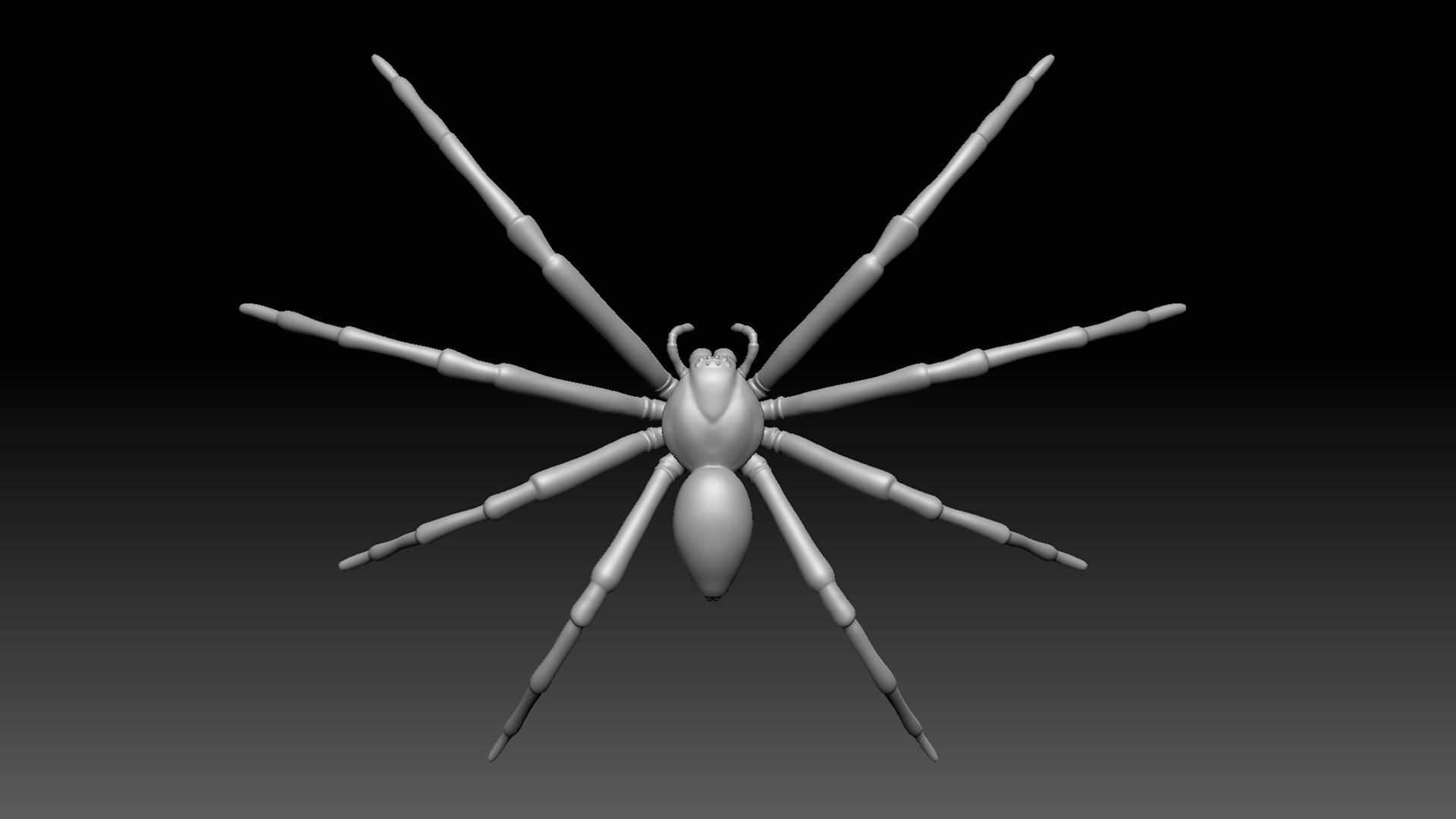 Spider Pack 3D model_20