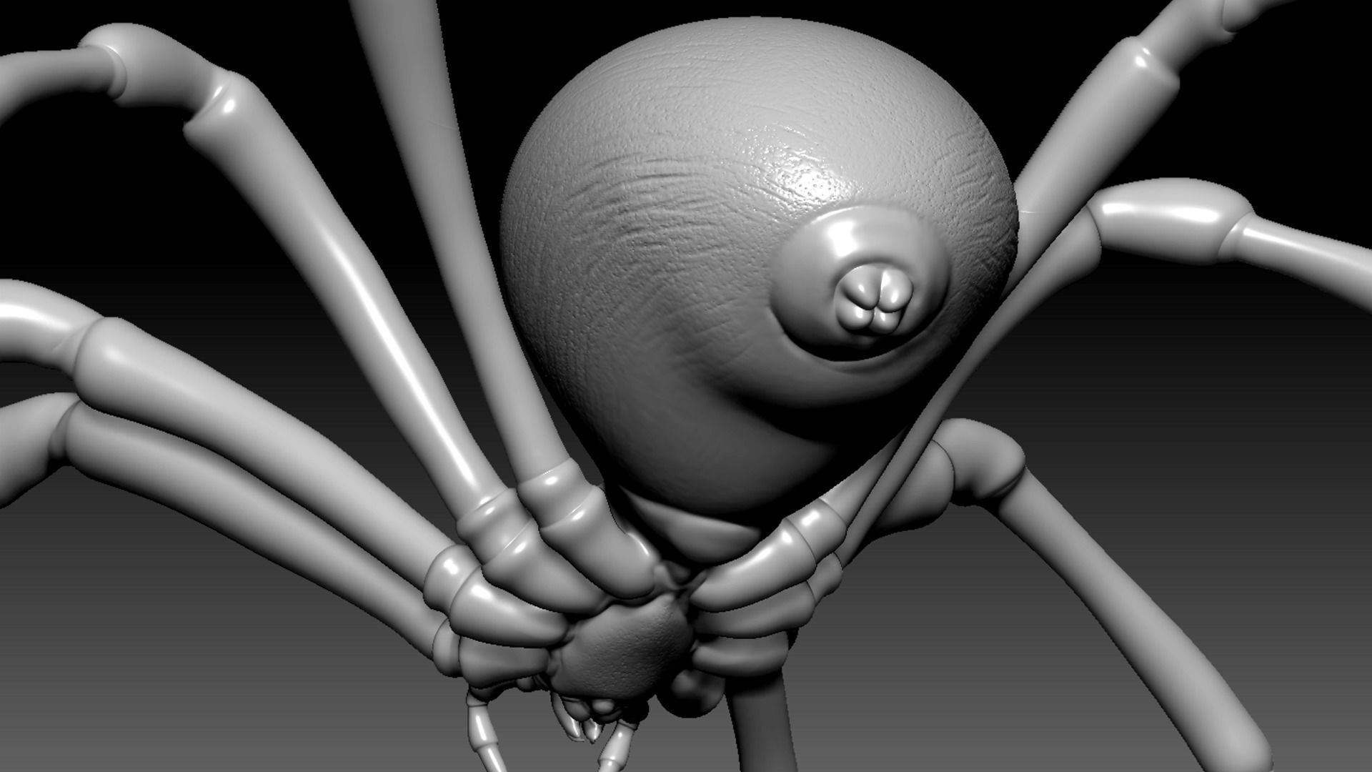 Spider Pack 3D model_9