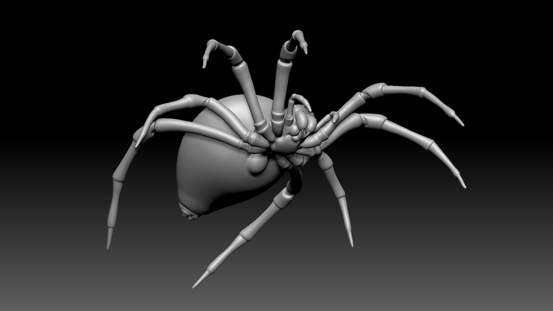 Spider Pack 3D model_91