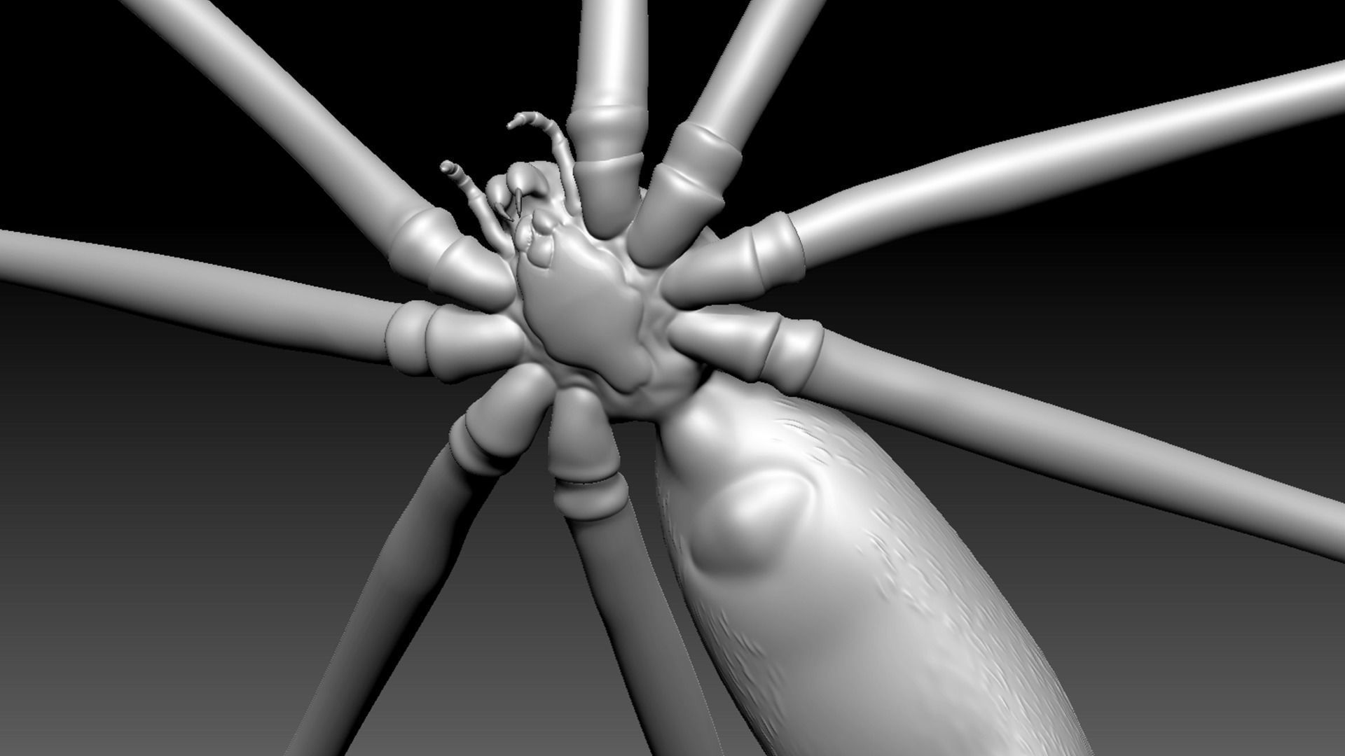 Spider Pack 3D model_124