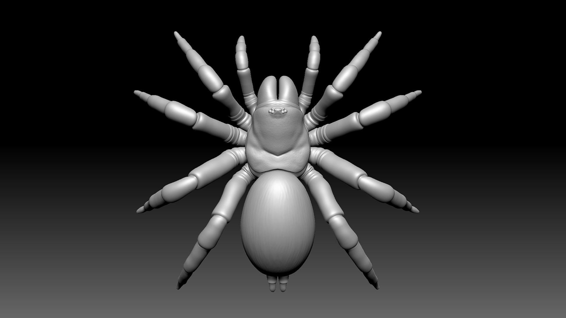 Spider Pack 3D model_38