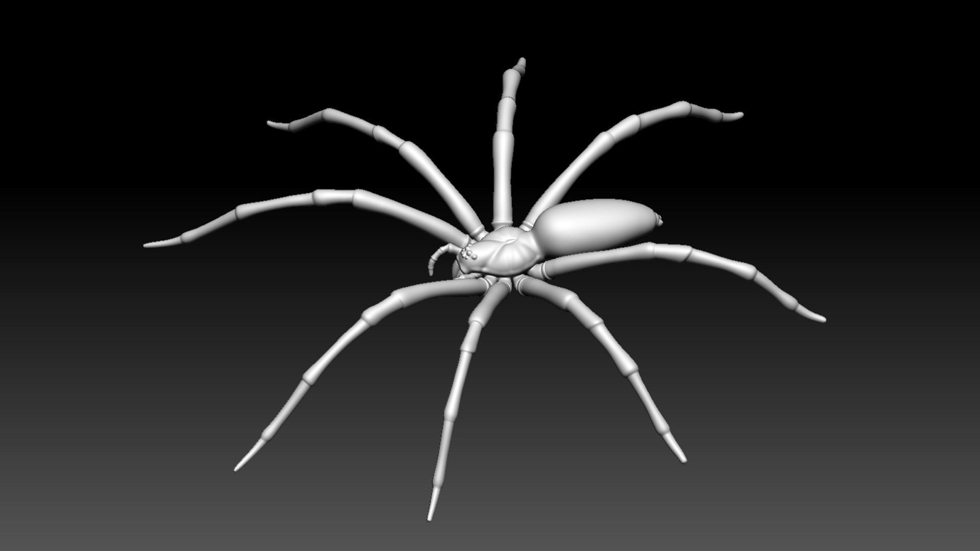 Spider Pack 3D model_109