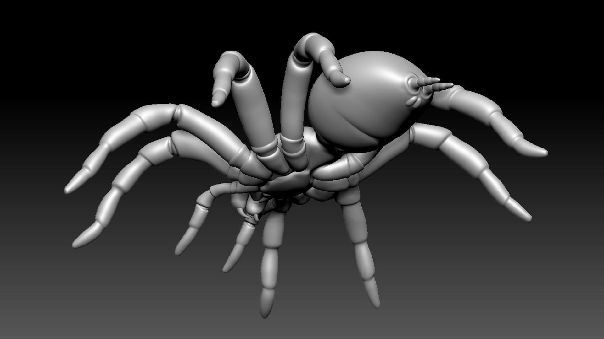 Spider Pack 3D model_49