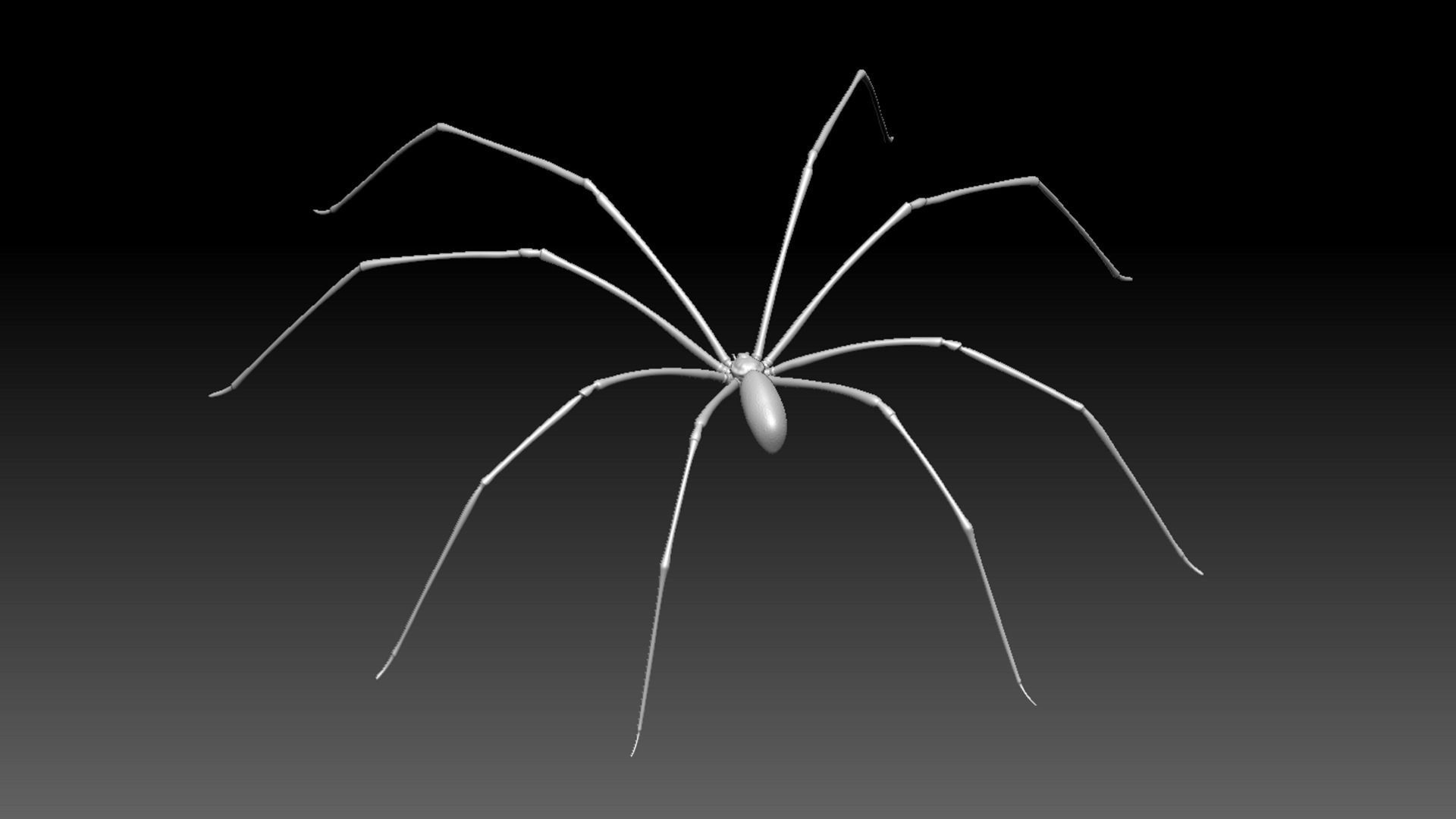 Spider Pack 3D model_119