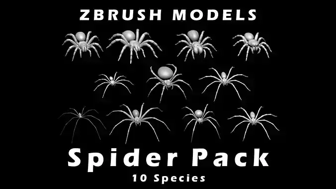 Spider Pack 3D model