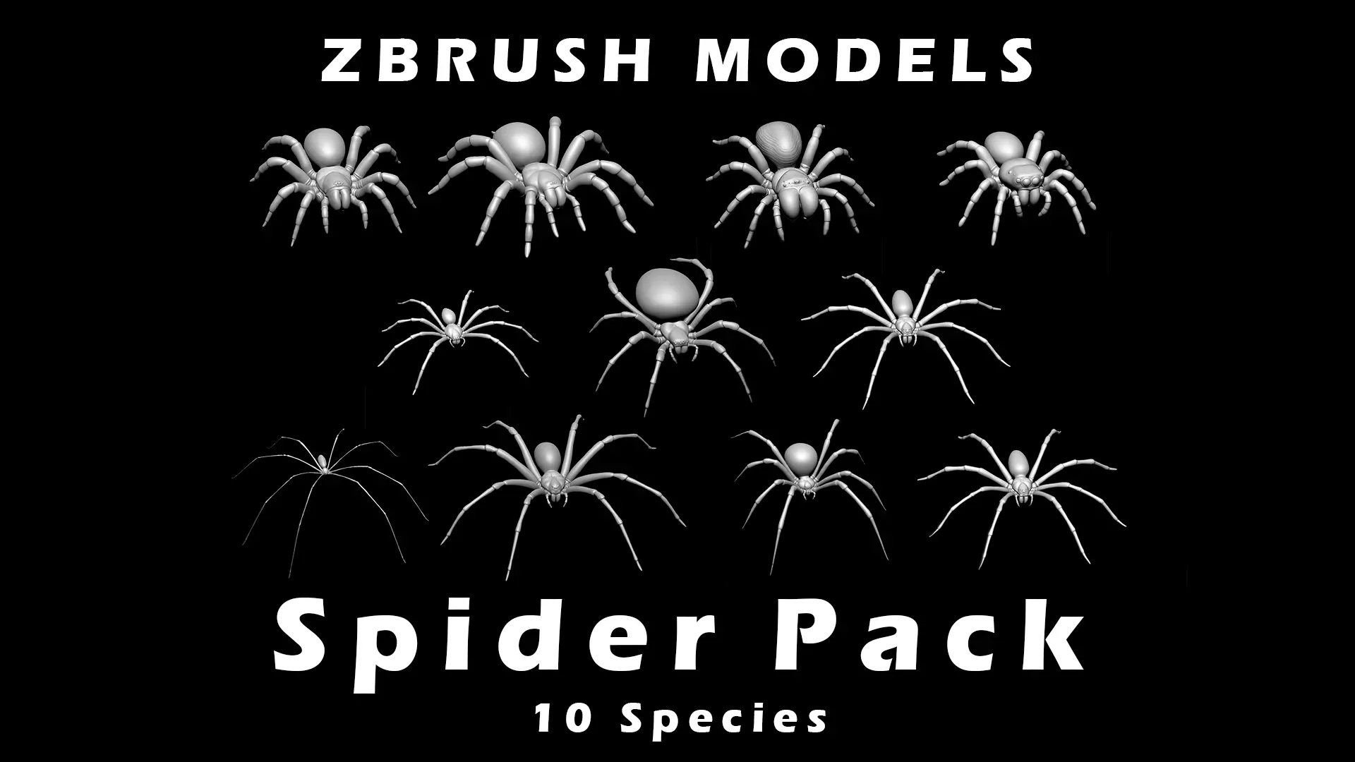 Spider Pack 3D model_0