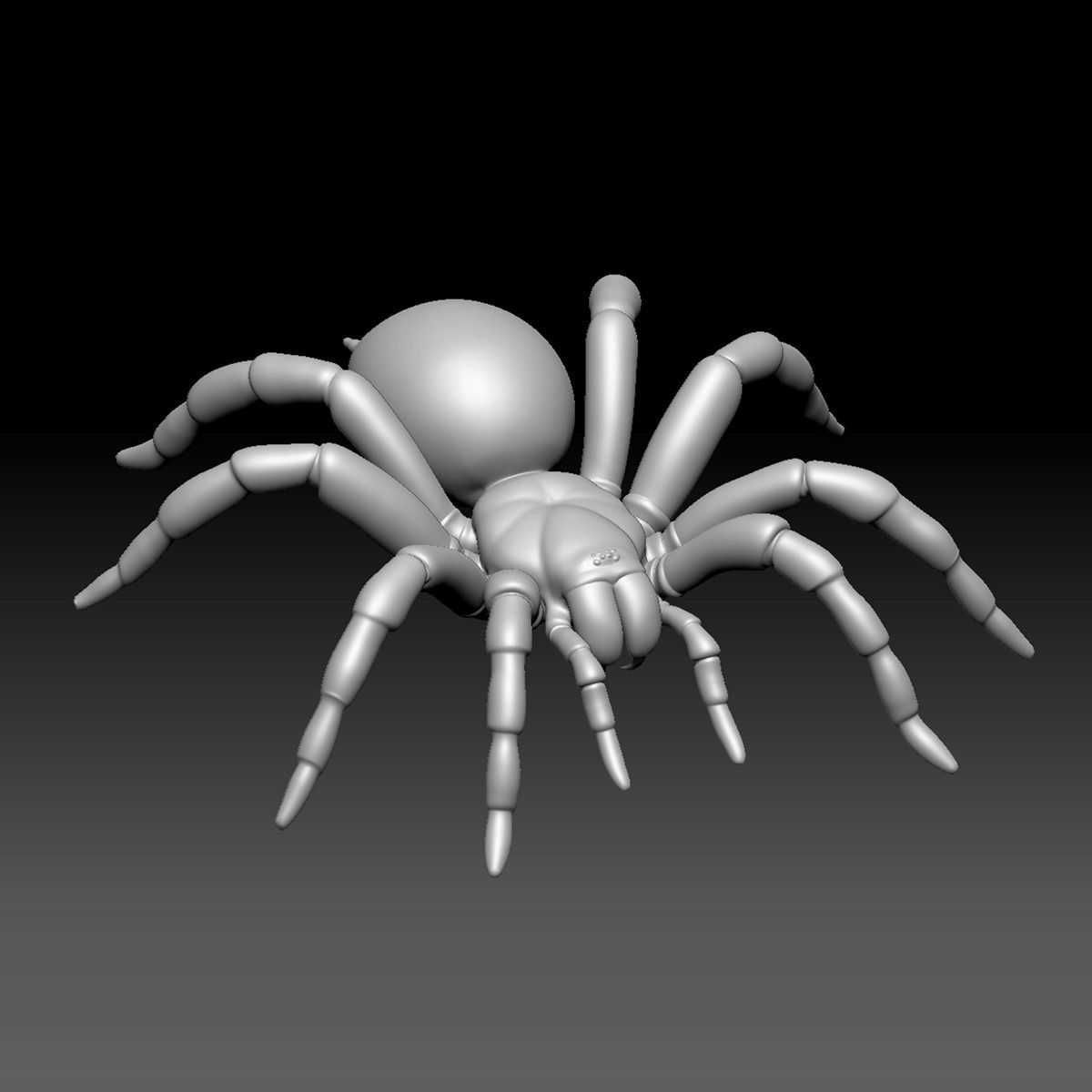 Spider Pack 3D model_47