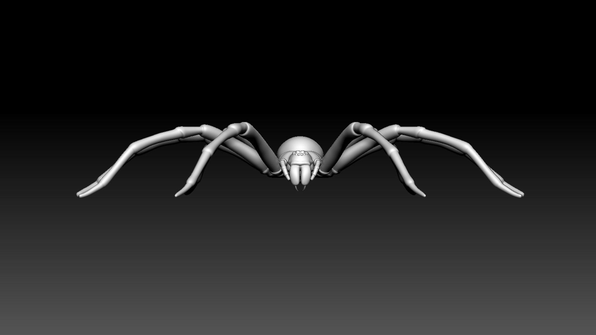 Spider Pack 3D model_104
