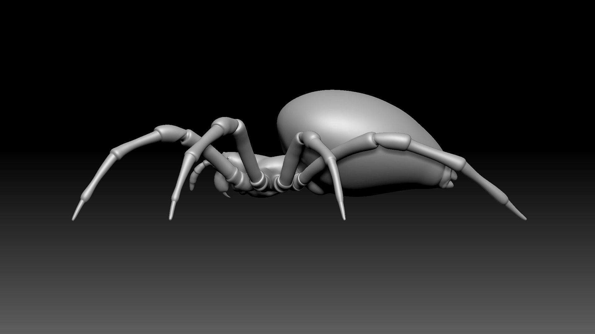 Spider Pack 3D model_93
