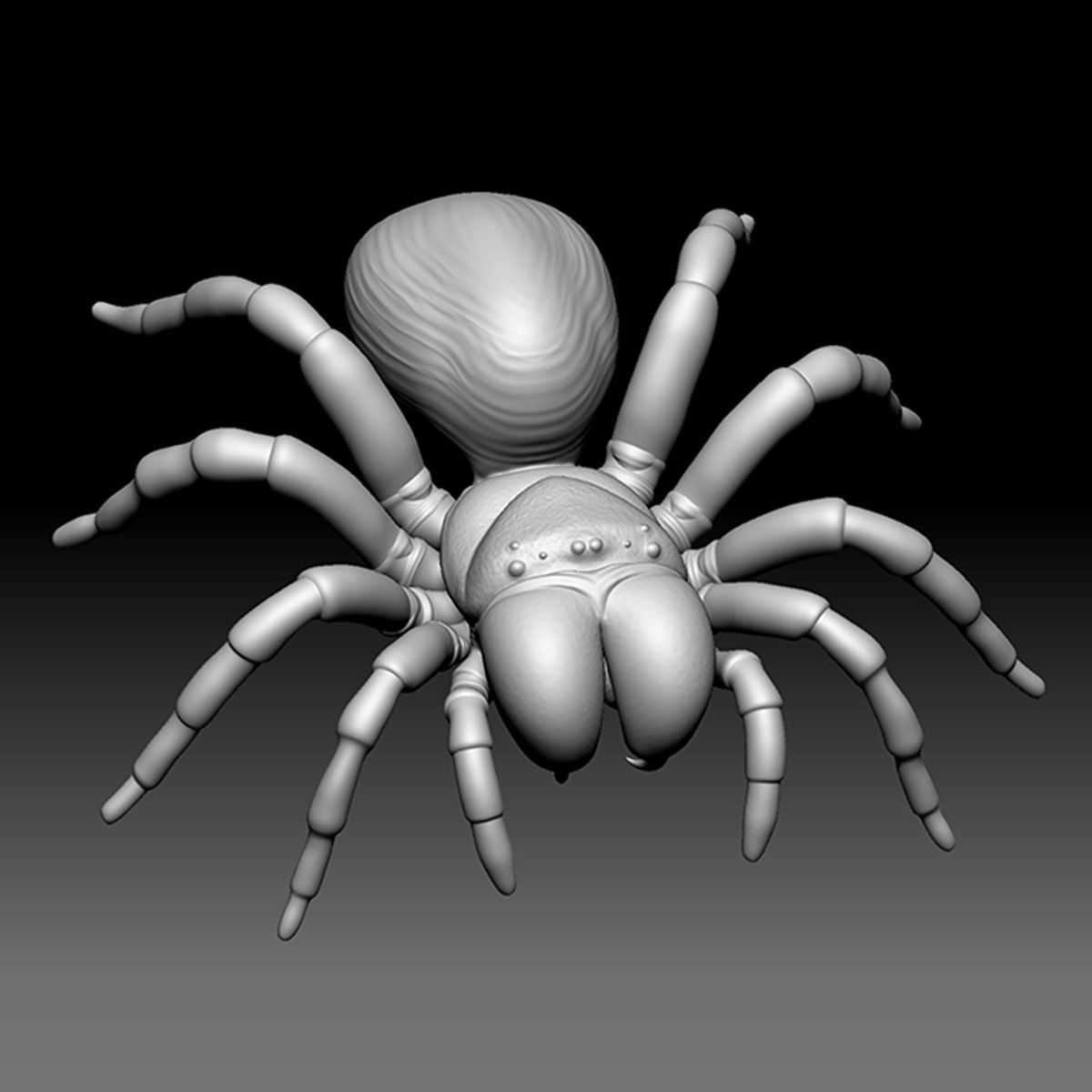 Spider Pack 3D model_62
