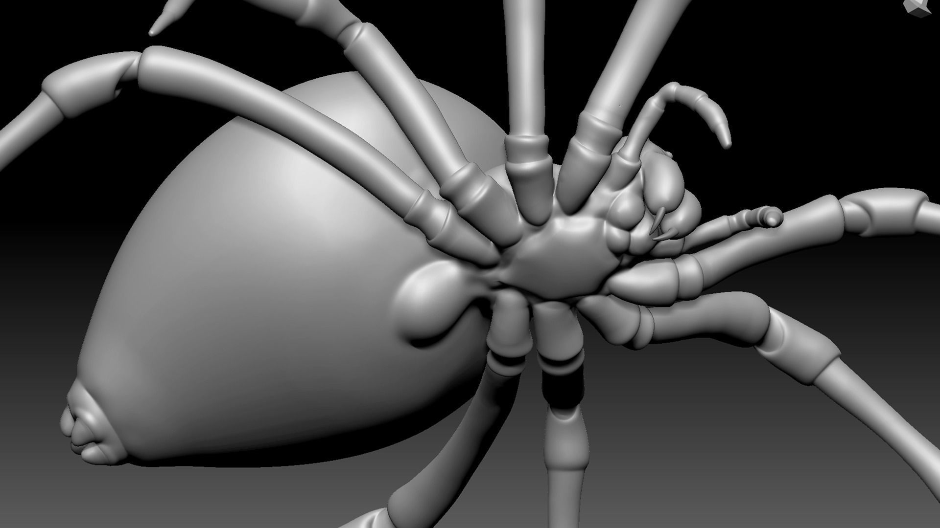 Spider Pack 3D model_85