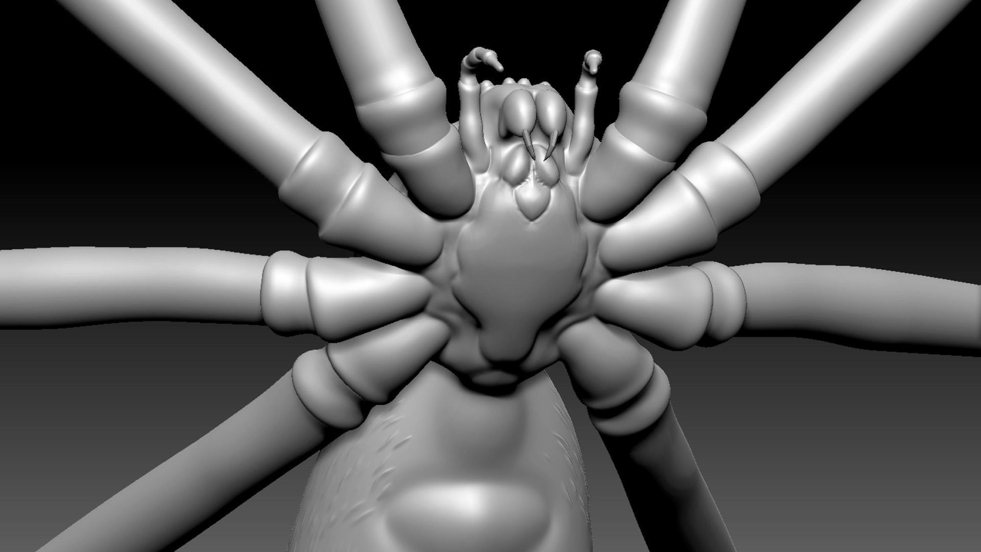 Spider Pack 3D model_123