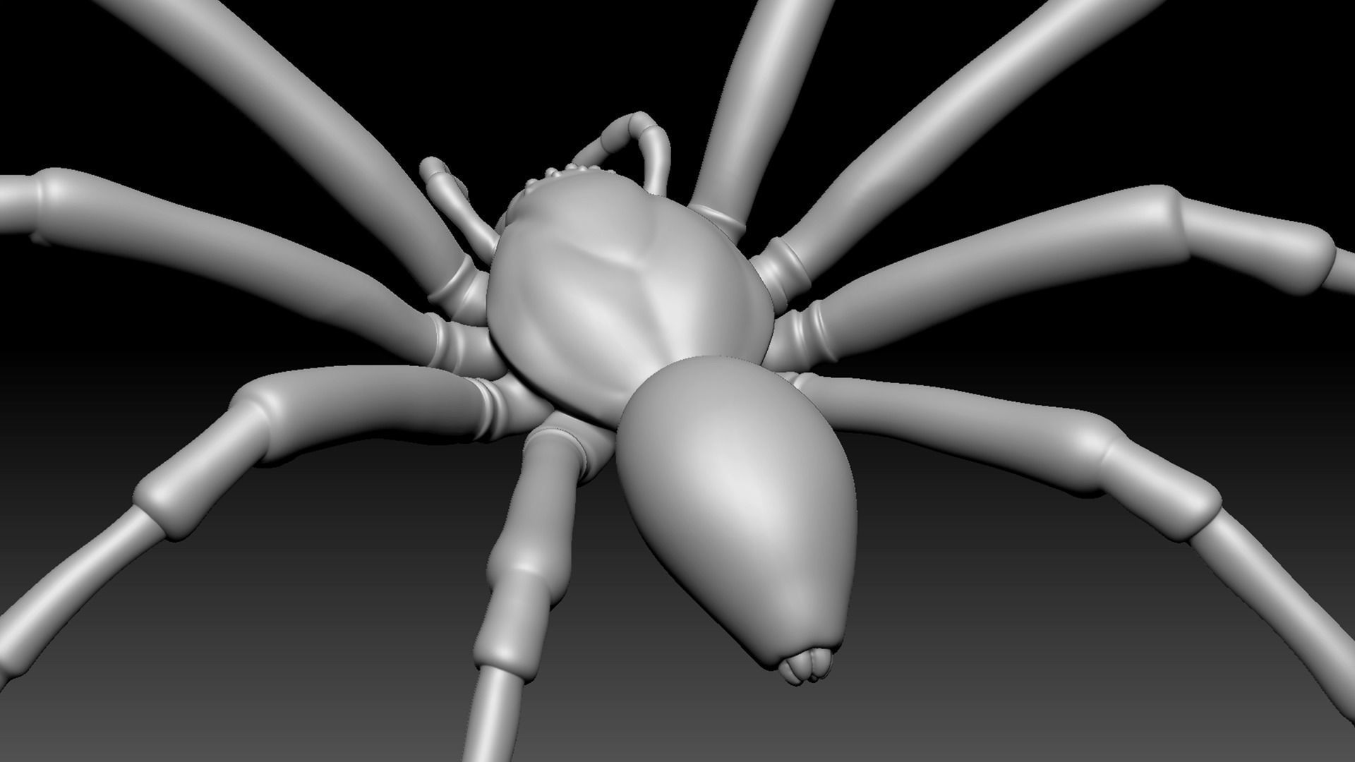 Spider Pack 3D model_24