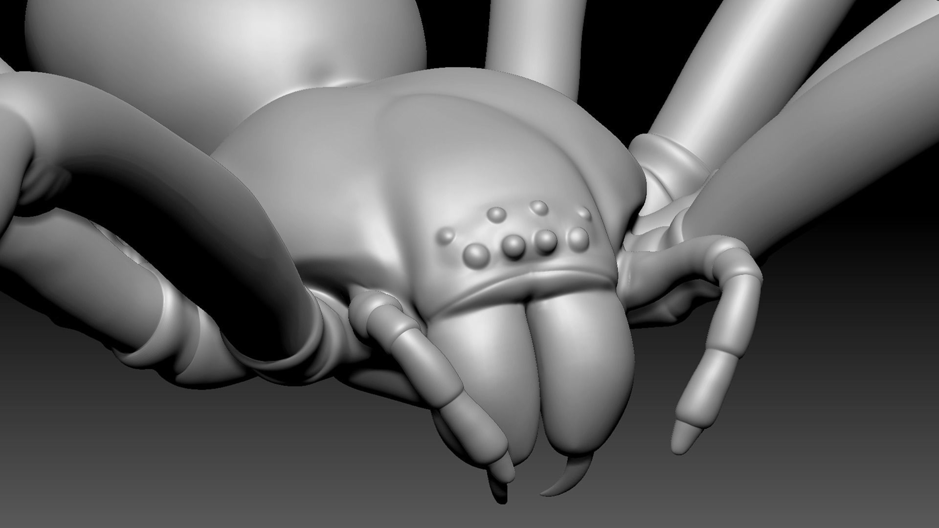 Spider Pack 3D model_26