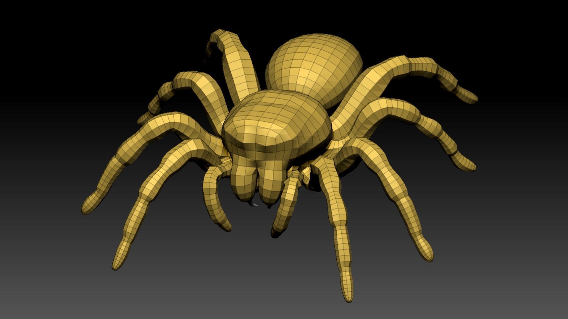 Spider Pack 3D model_81