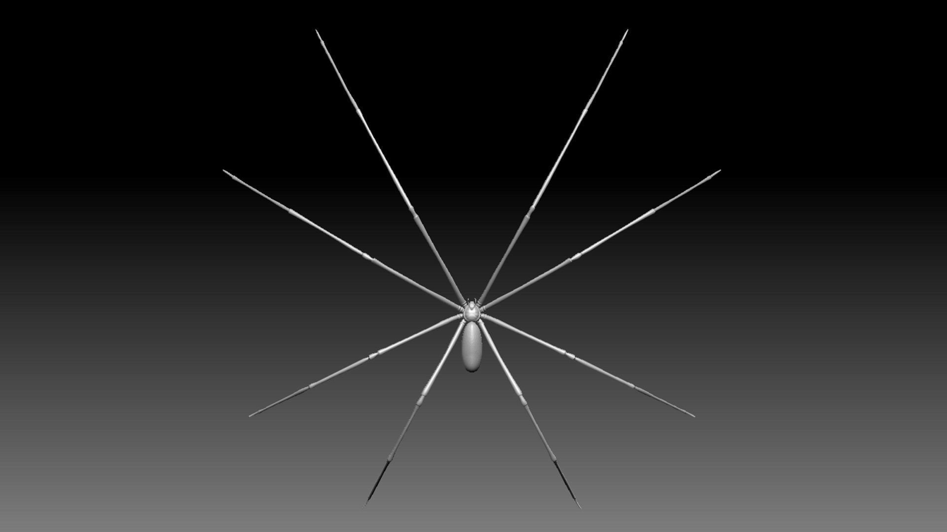 Spider Pack 3D model_116