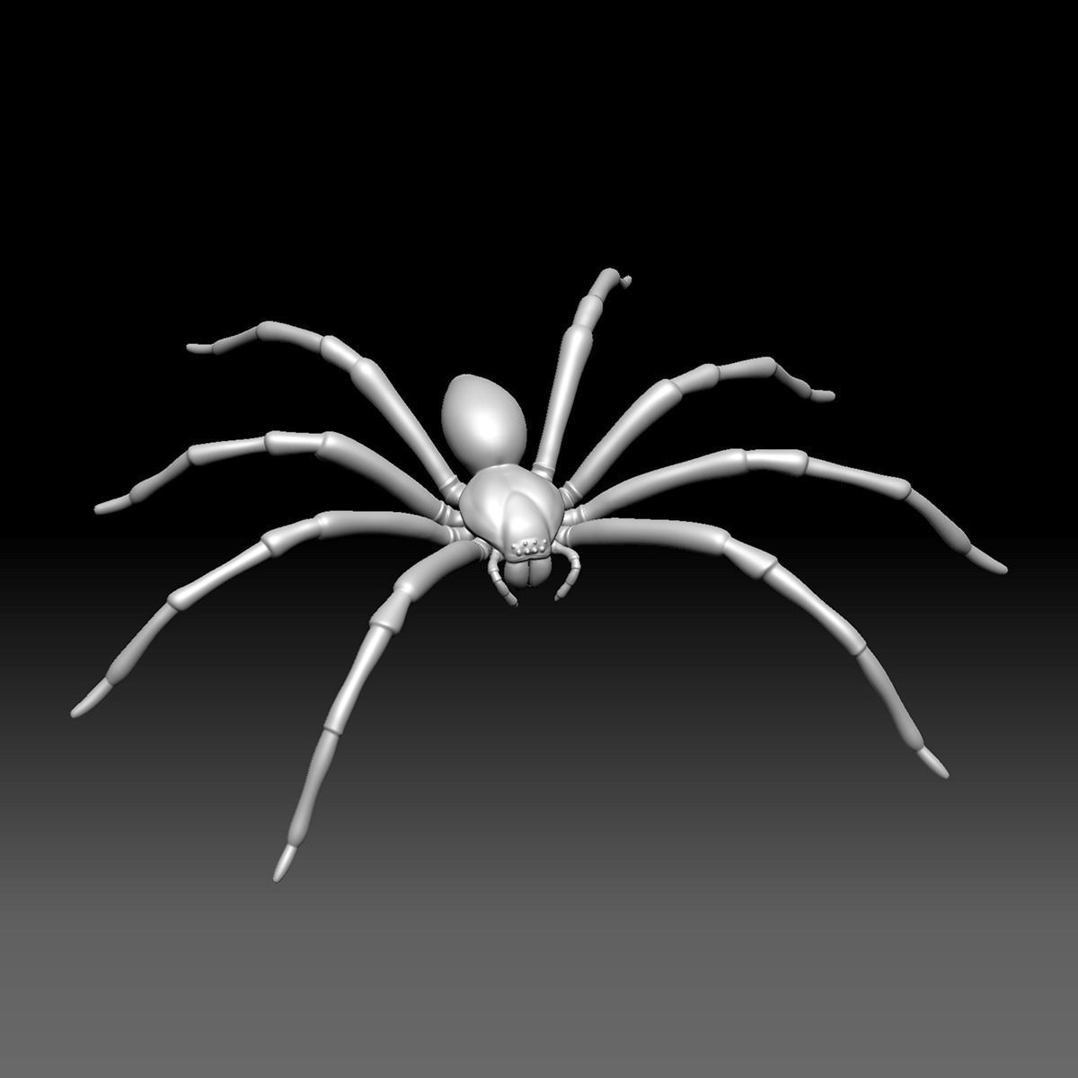 Spider Pack 3D model_15
