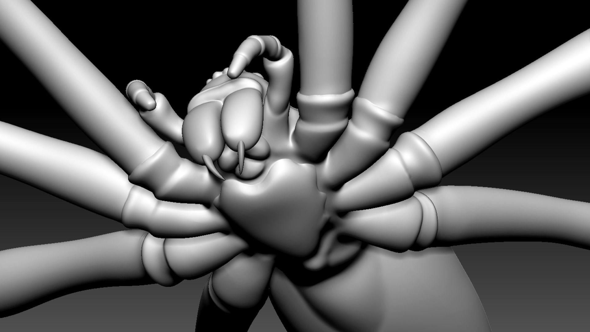 Spider Pack 3D model_103